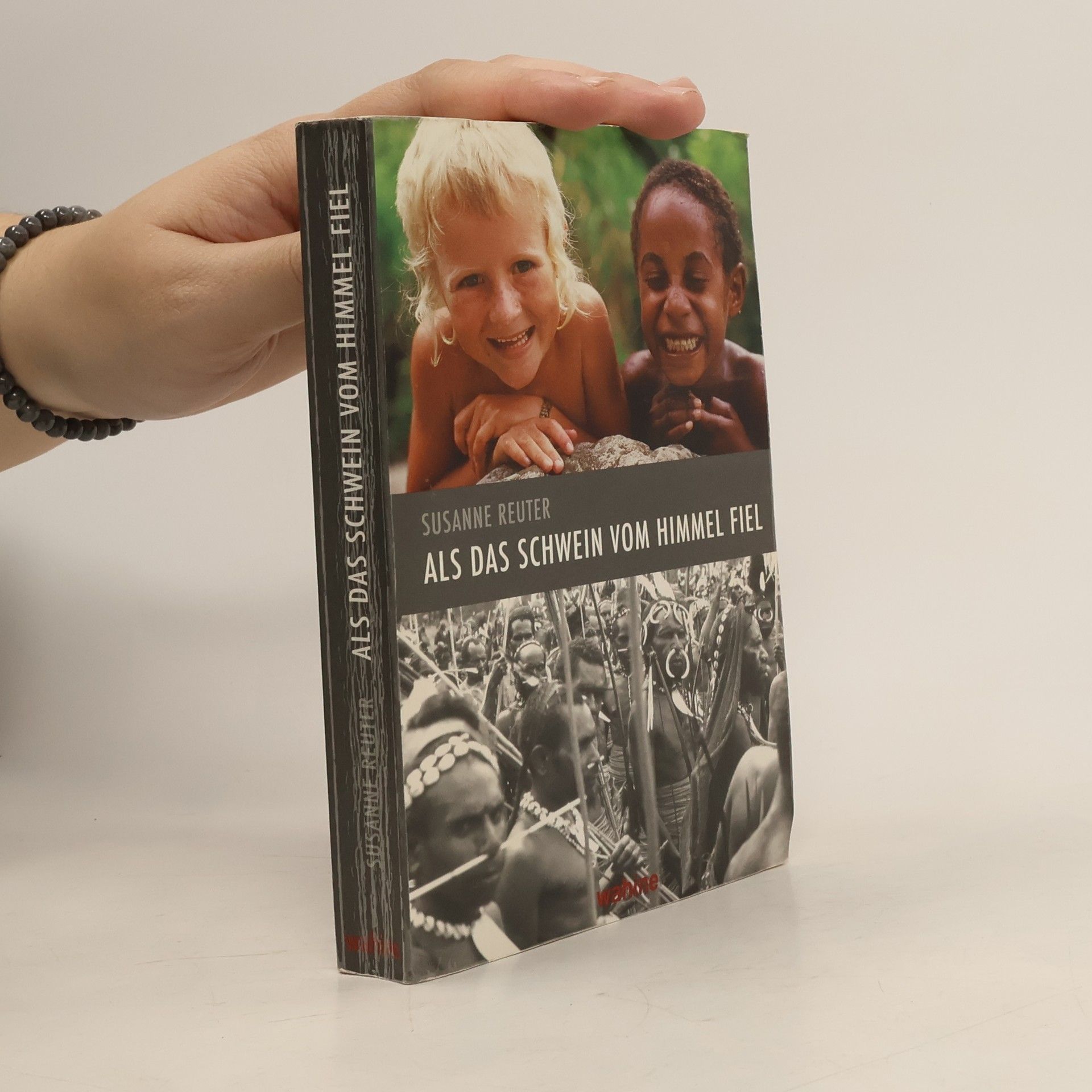 Susanne Reuter Als das Schwein vom Himmel fiel