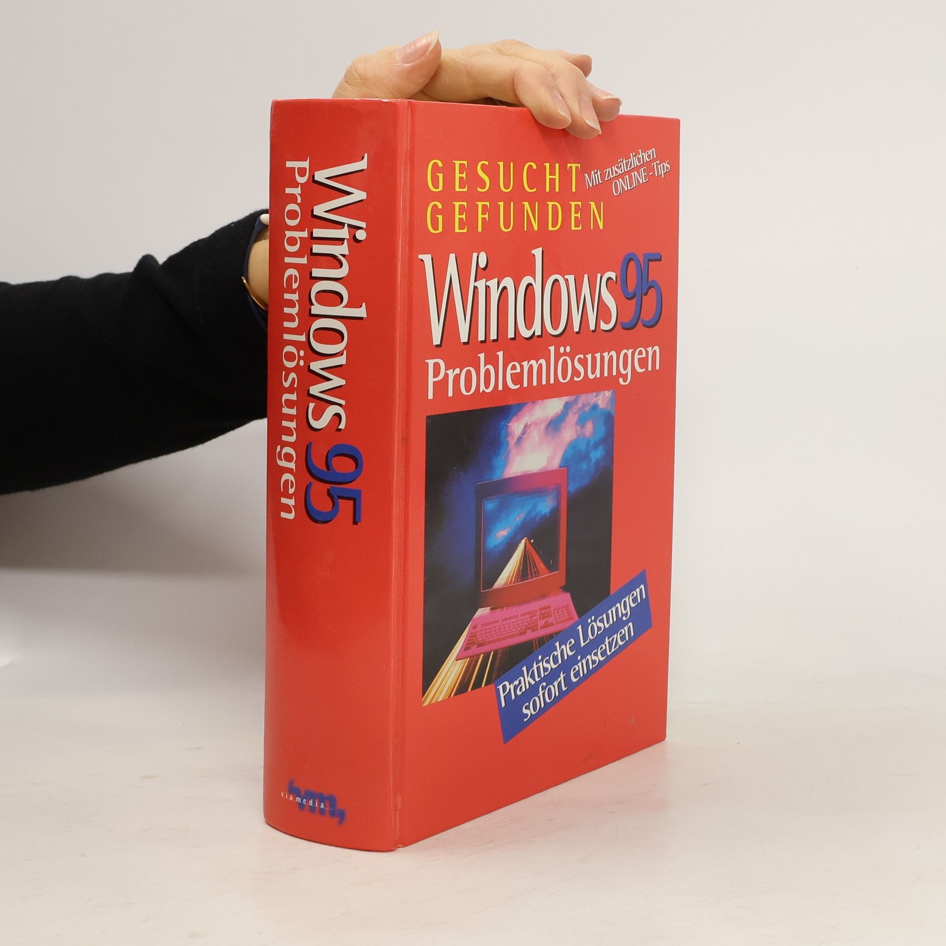 Collectif d'auteurs Windows 95. Problemlösungen