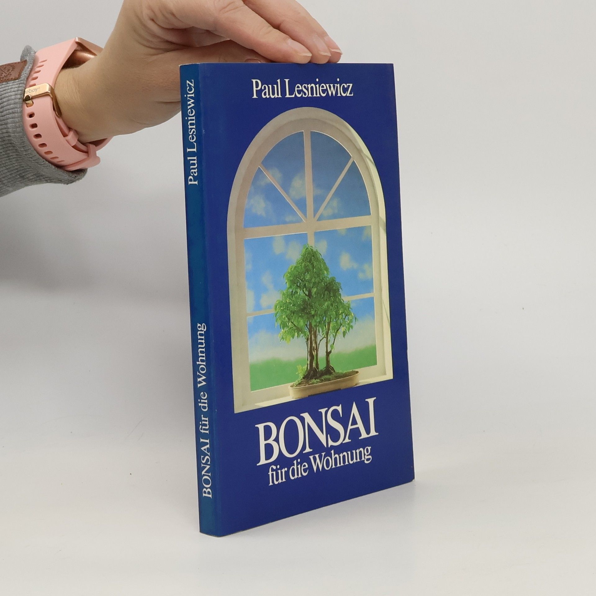 Bonsai für die Wohnung