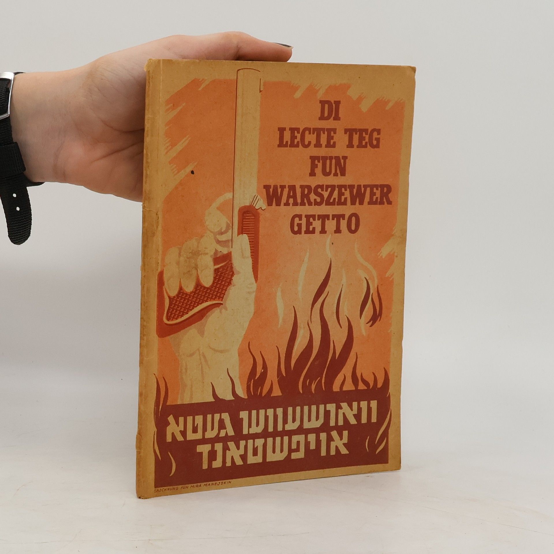 Rachmiel Grynszpan Di lecte teg fun Warszewer Getto