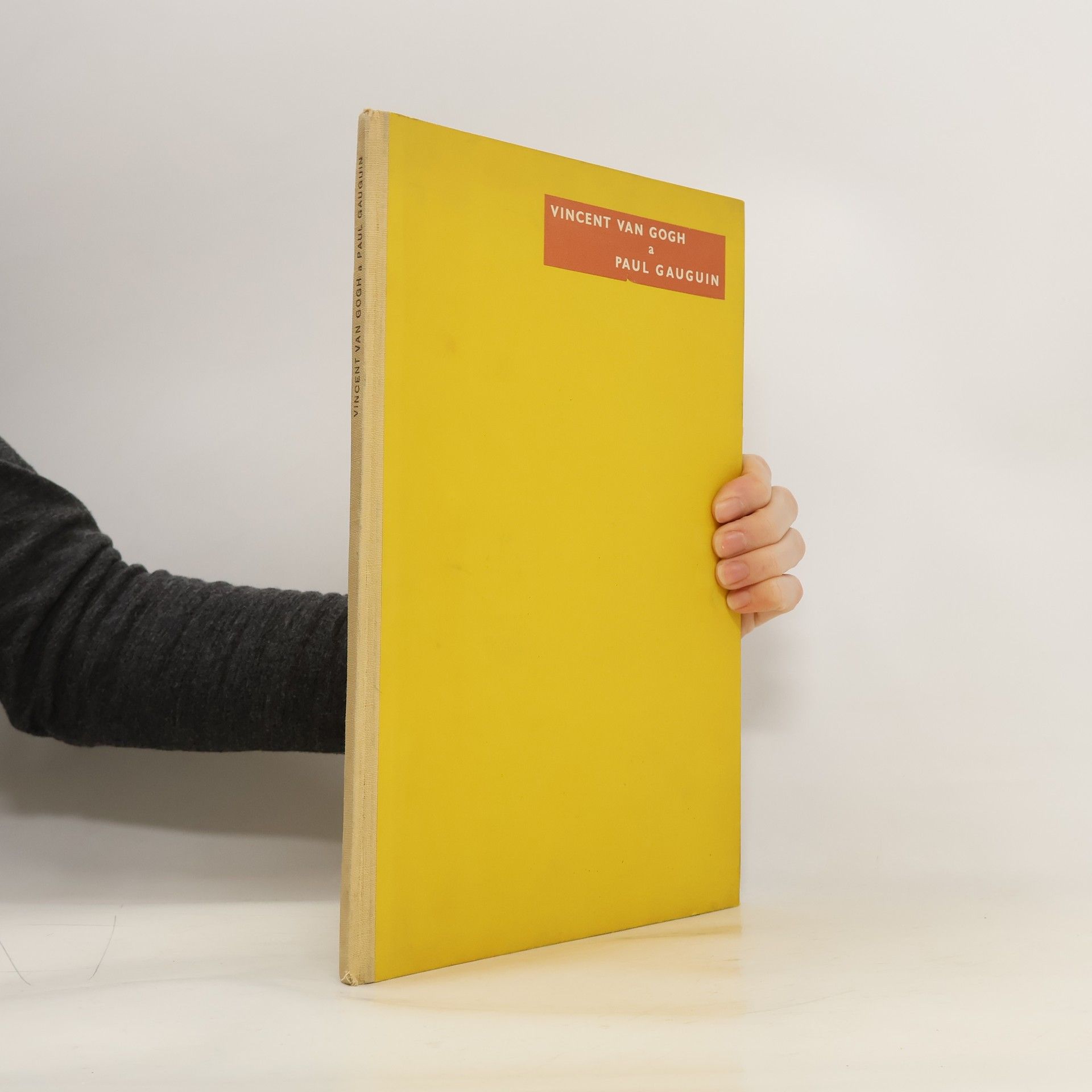 Kolektív autorov Vincent van Gogh a Paul Gauguin