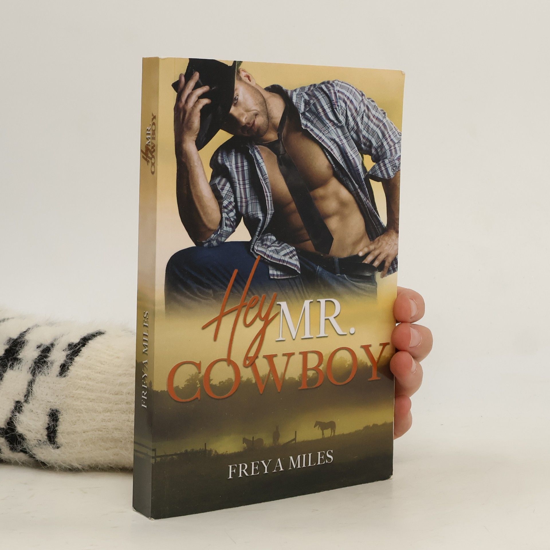 Freya Miles Hey, Mr. Cowboy