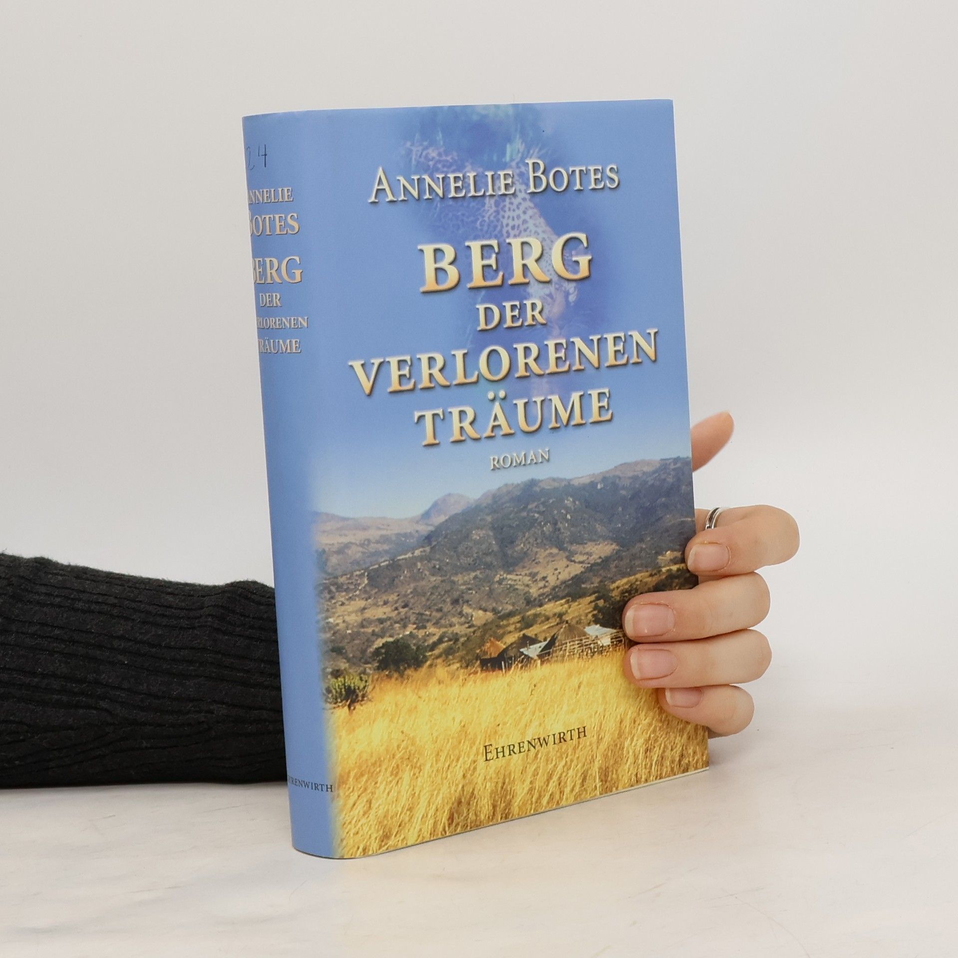 Annelie Botes Berg der verlorenen Träume