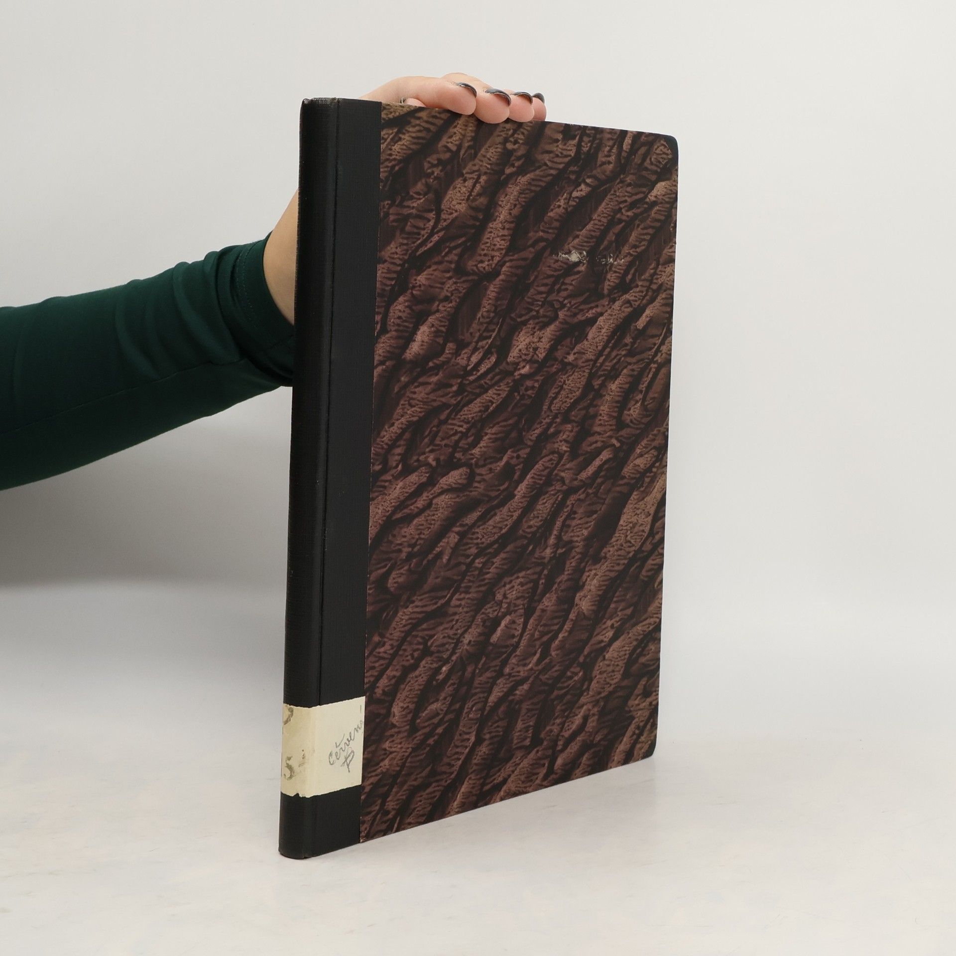 Jindřich Vichnar Chvilky v přírodě IV