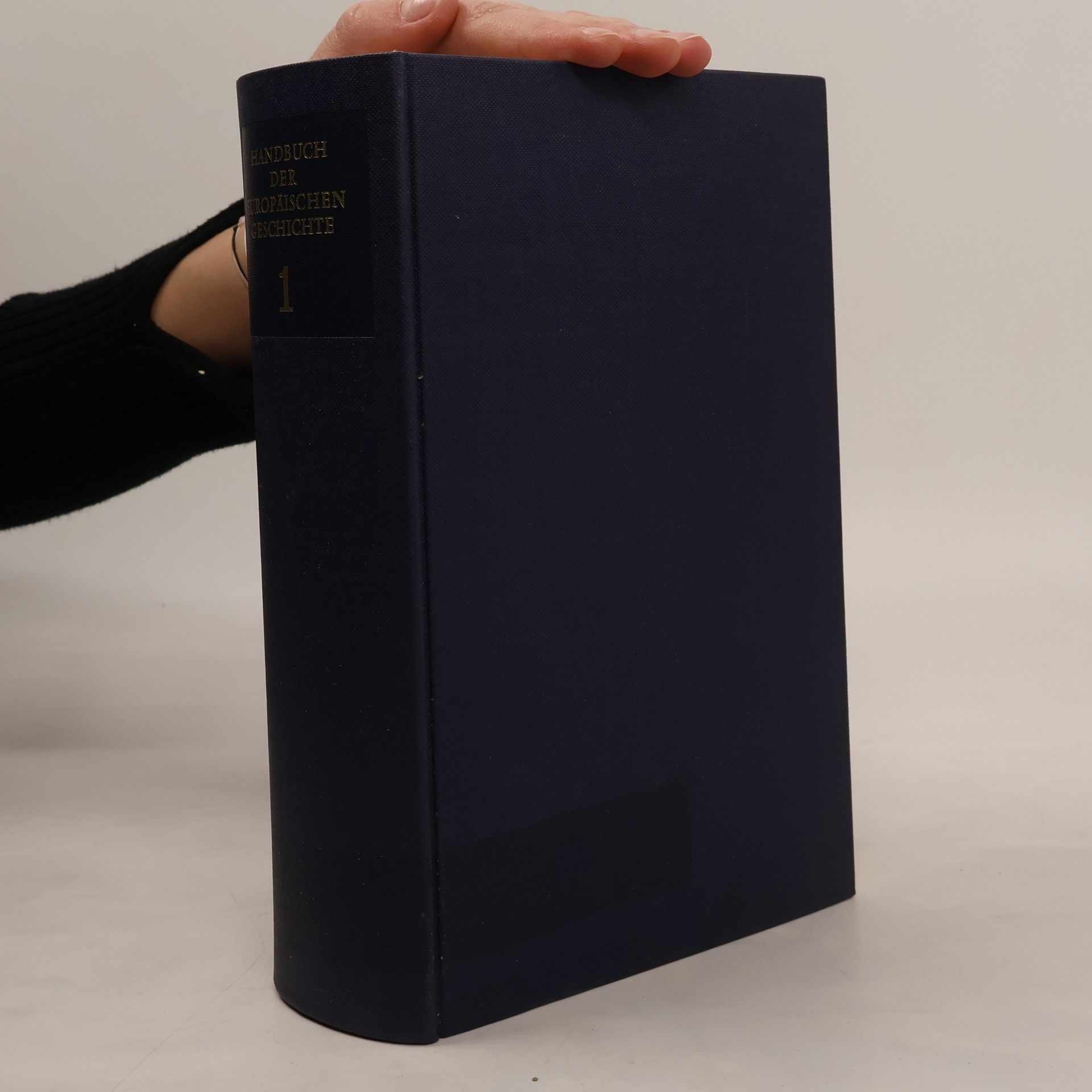 Handbuch der europäischen Geschichte. Band 1