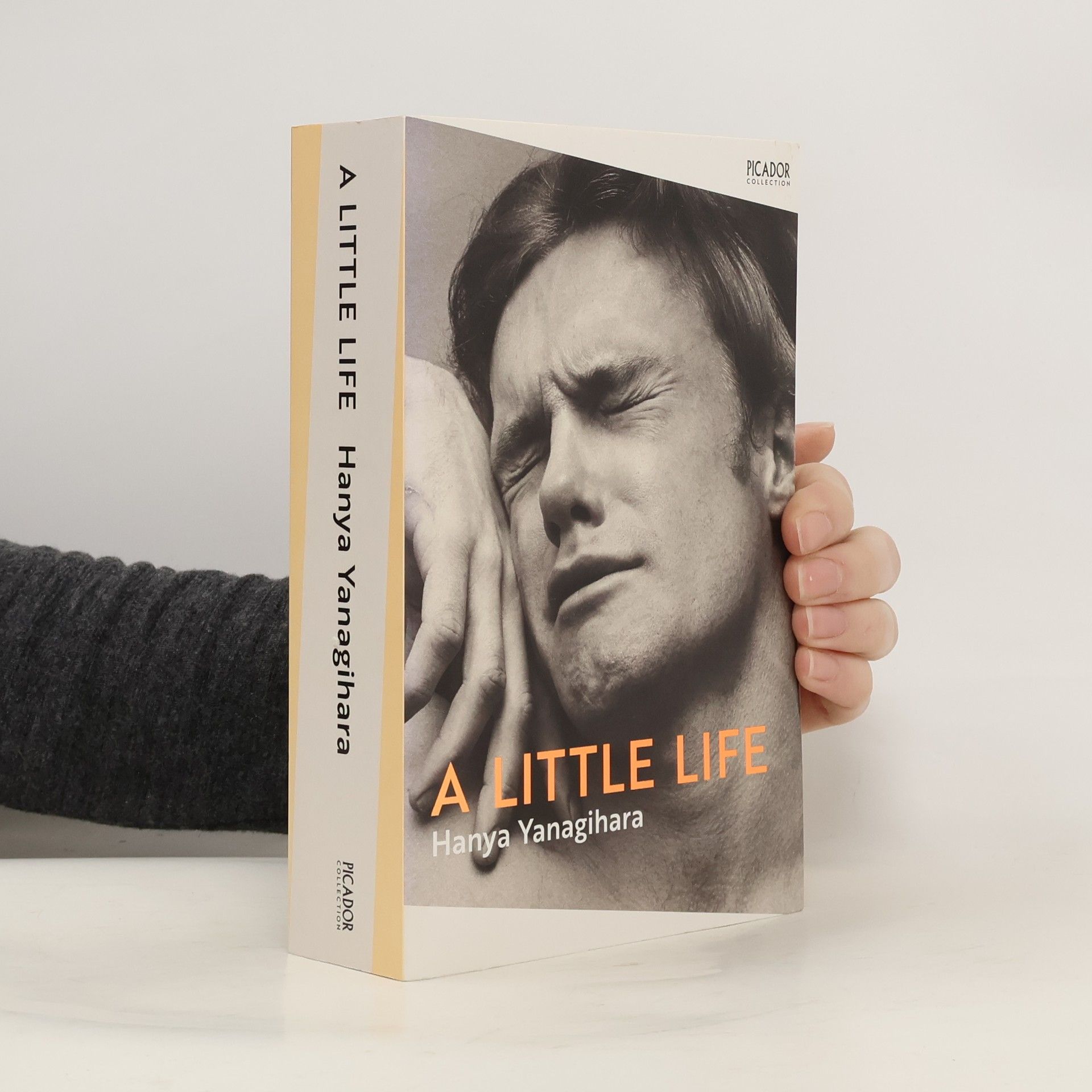 Hanya Yanagihara A Little Life