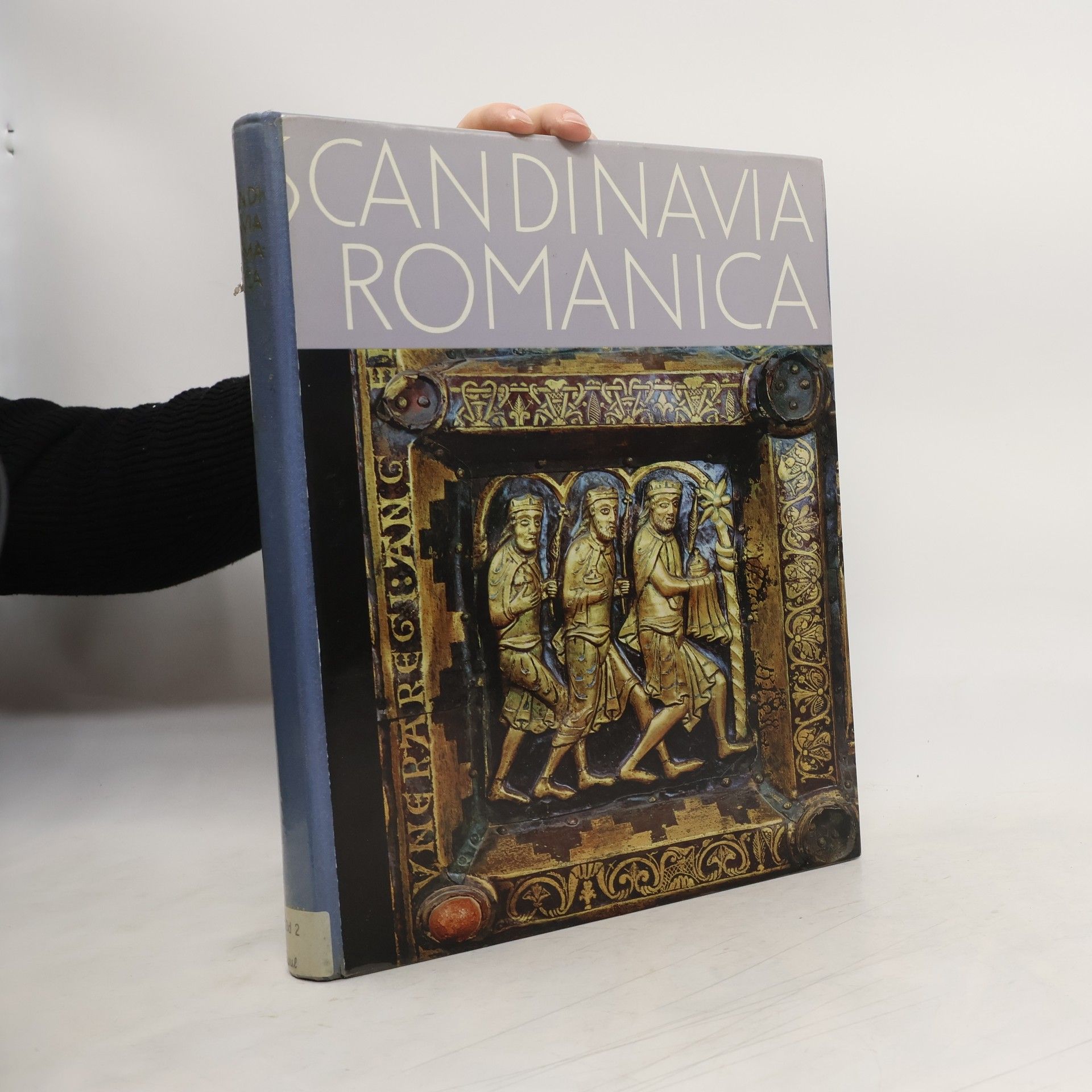 Kolektív autorov Scandinavia romanica