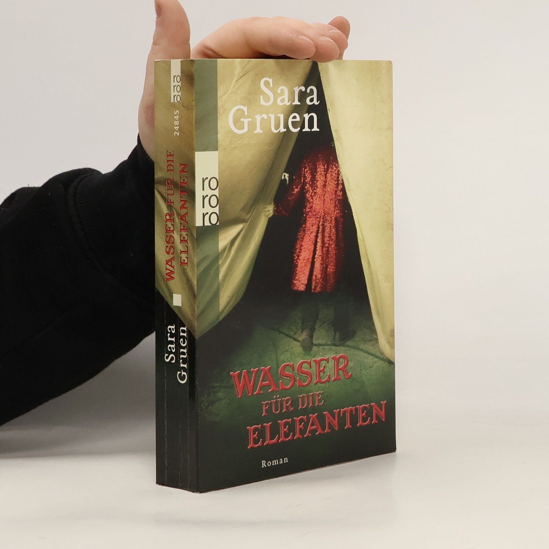 Sara Gruen Wasser für die Elefanten