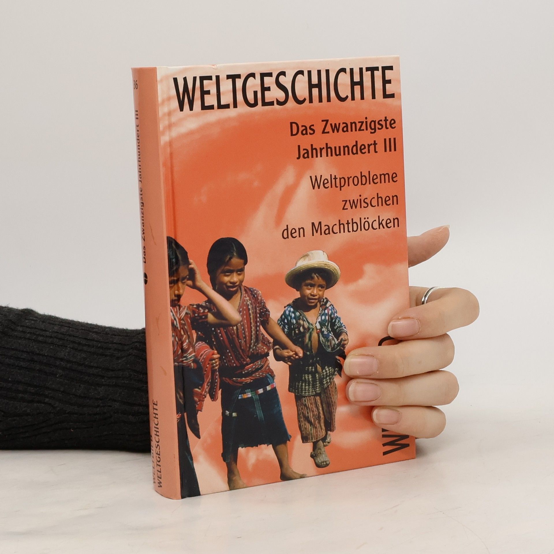 Auteurscollectief Weltgeschichte 36. Das Zwanzigste Jahrhundert III