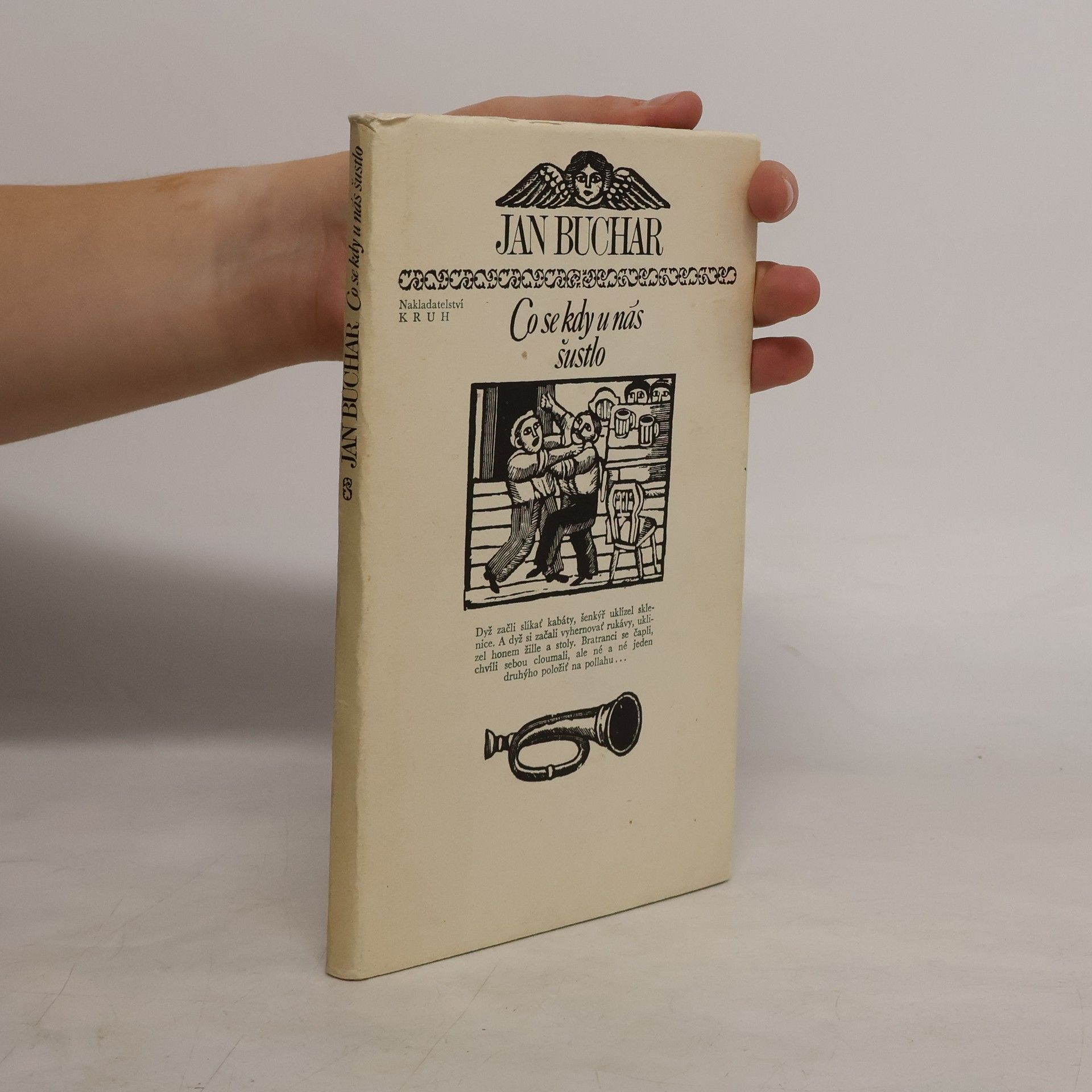 Vladimír Burjánek Co se kdy u nás šustlo