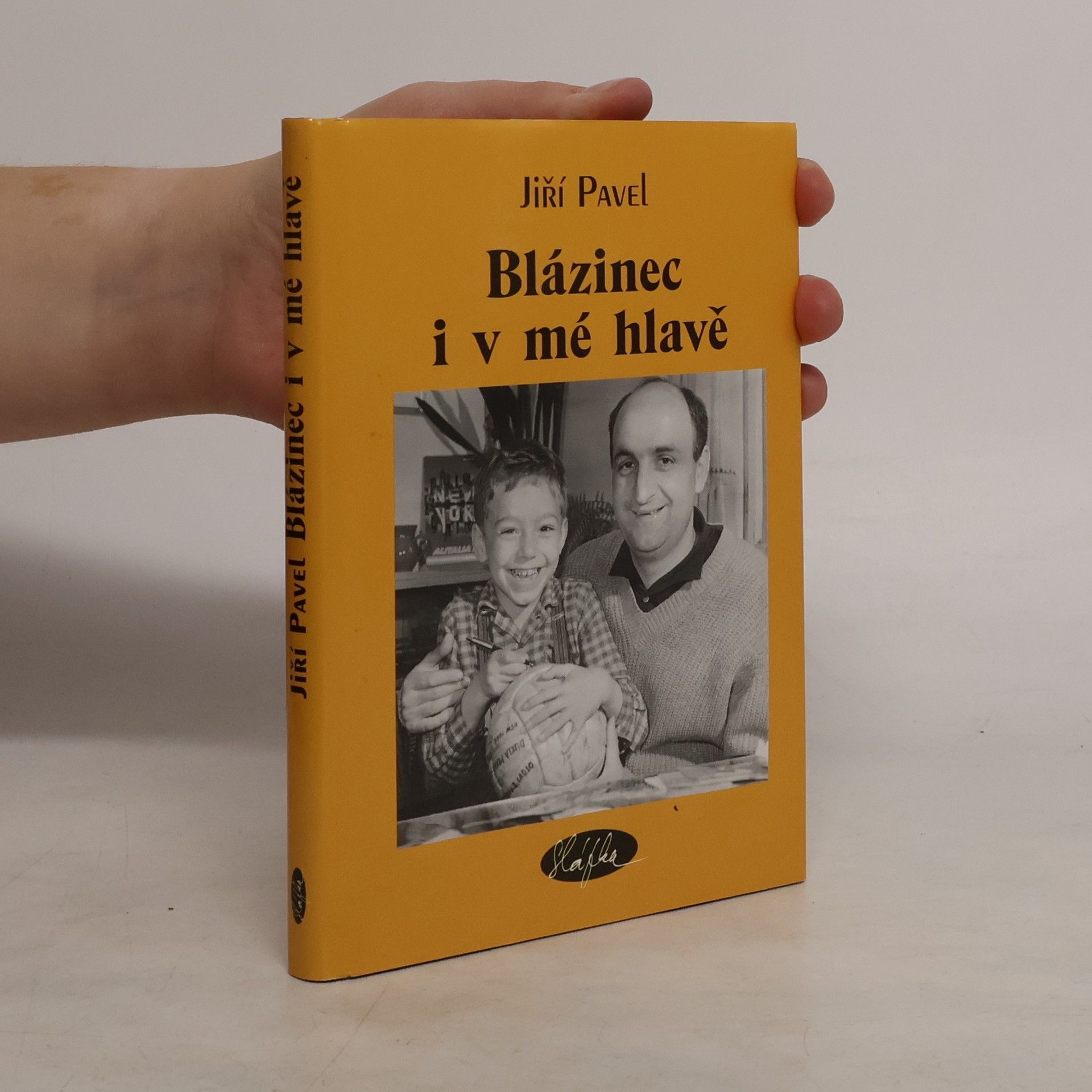 Blázinec i v mé hlavě