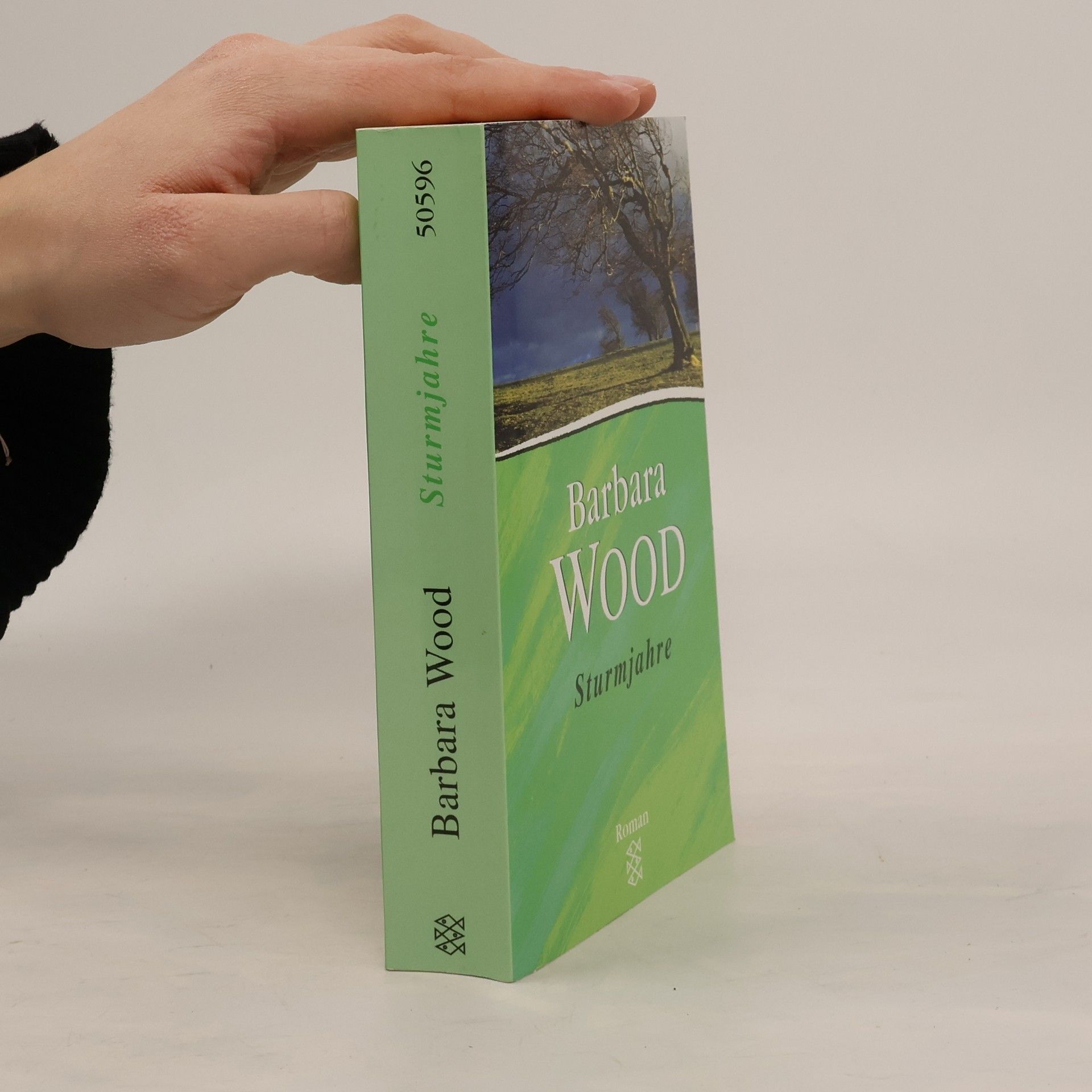 Barbara Wood Sturmjahre