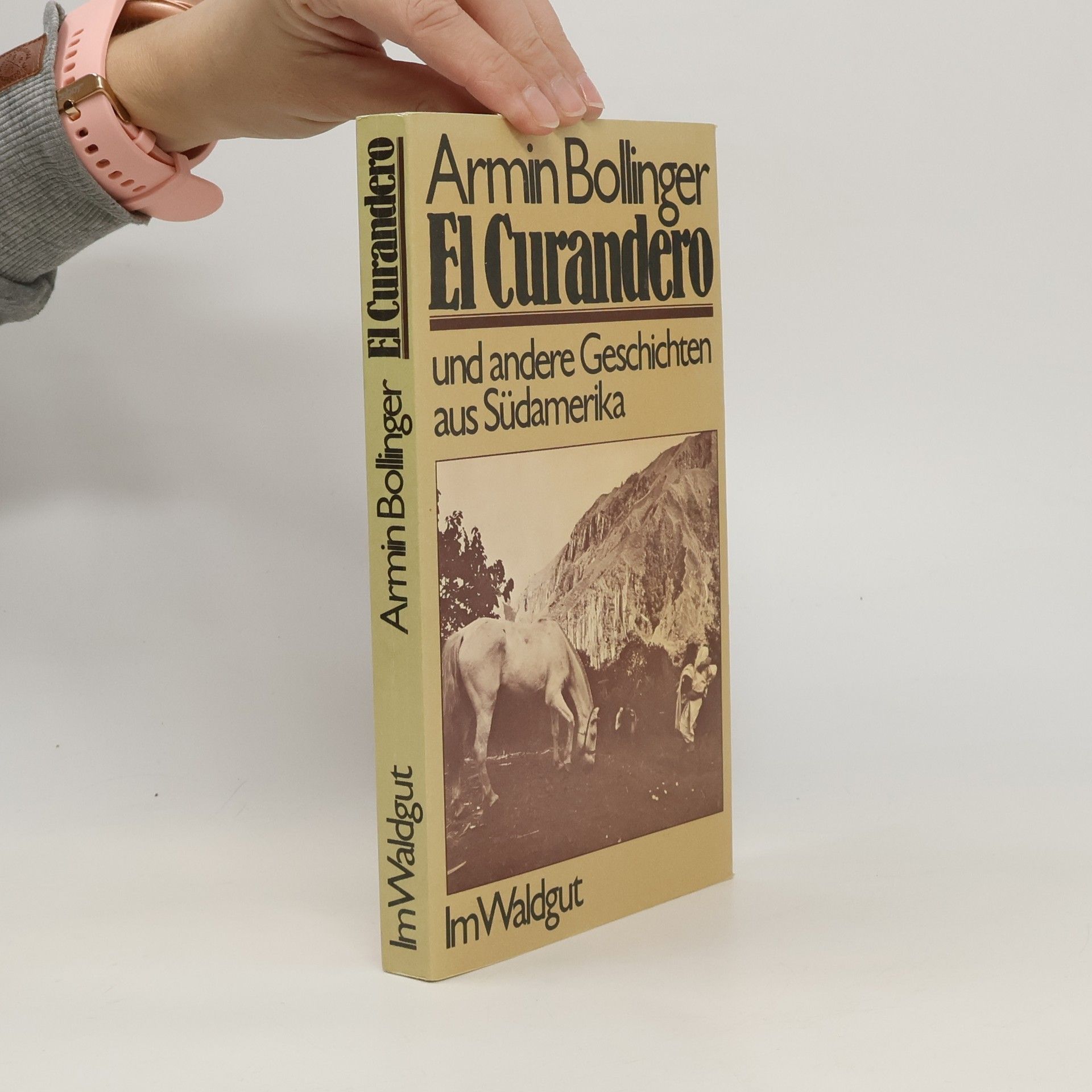 Armin Bollinger El Curandero