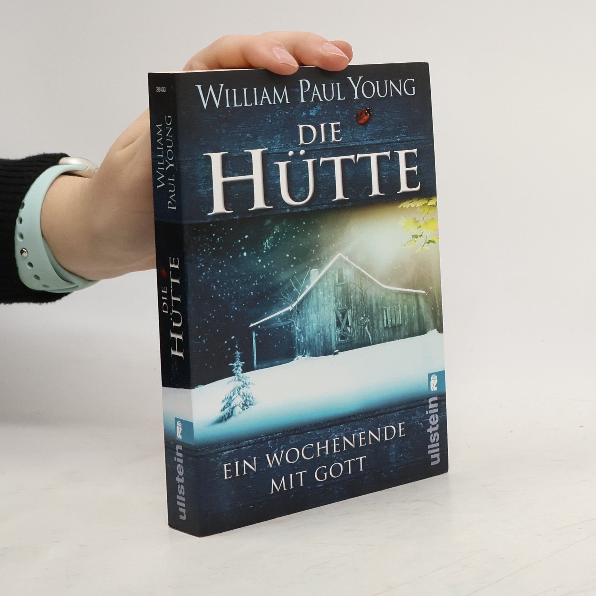 William P. Young Die Hütte