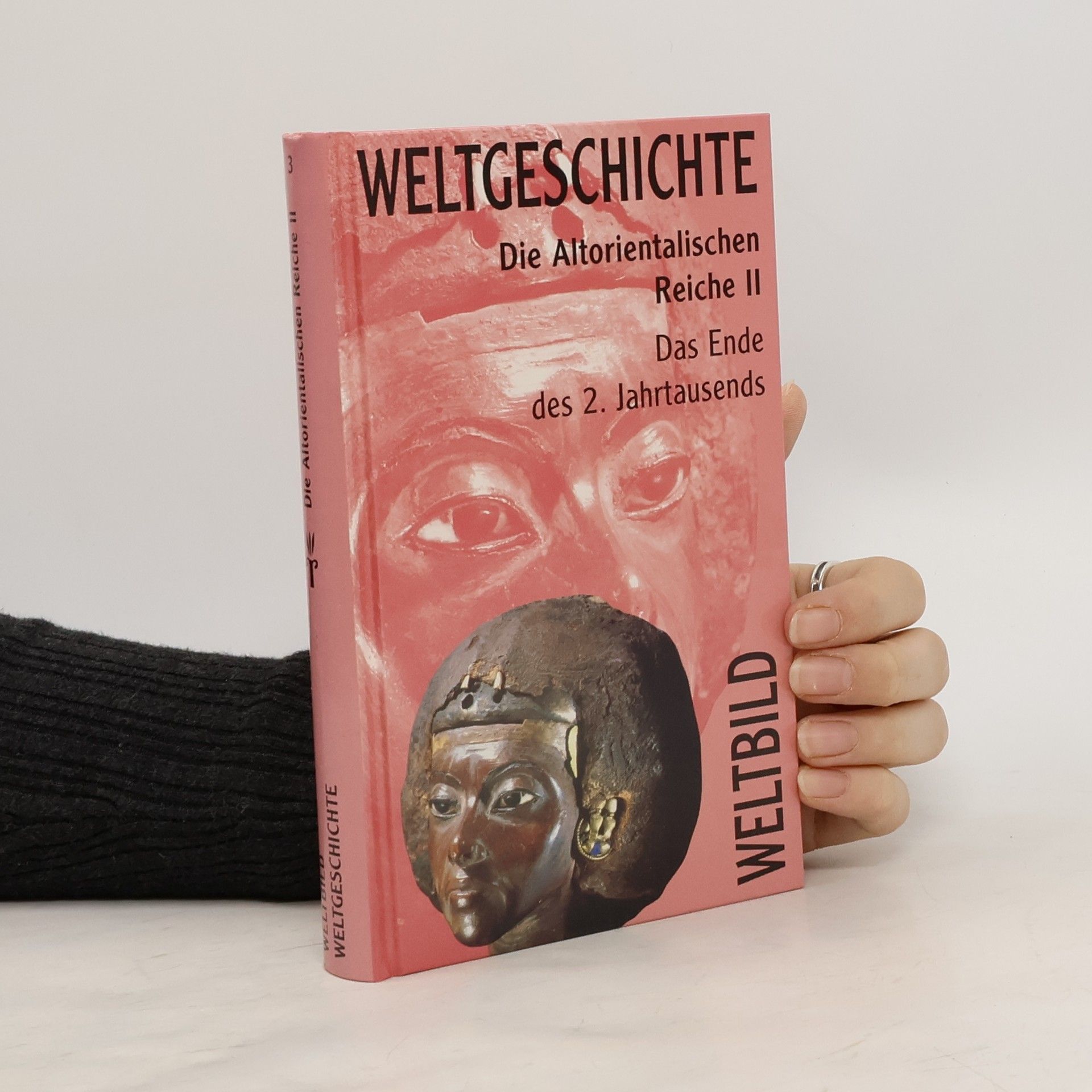 Collectif d'auteurs Weltgeschichte Die Altorientalischen Reiche II