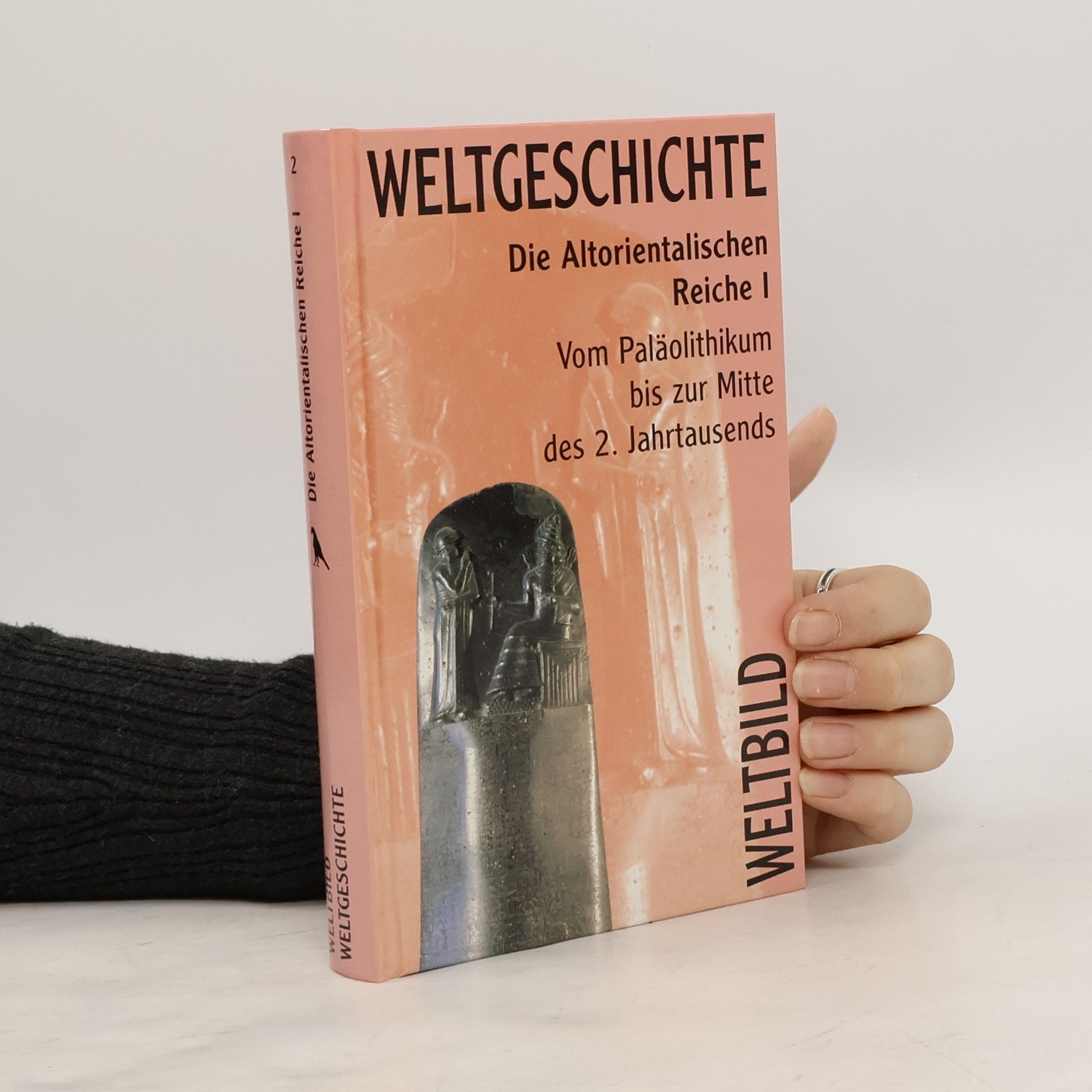 Collectif d'auteurs Weltgeschichte 2. Die Altorientalischen reiche I