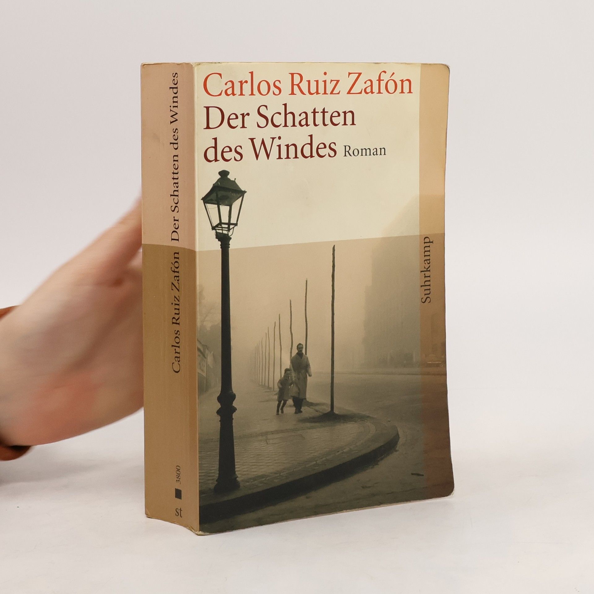 Der Schatten des Windes