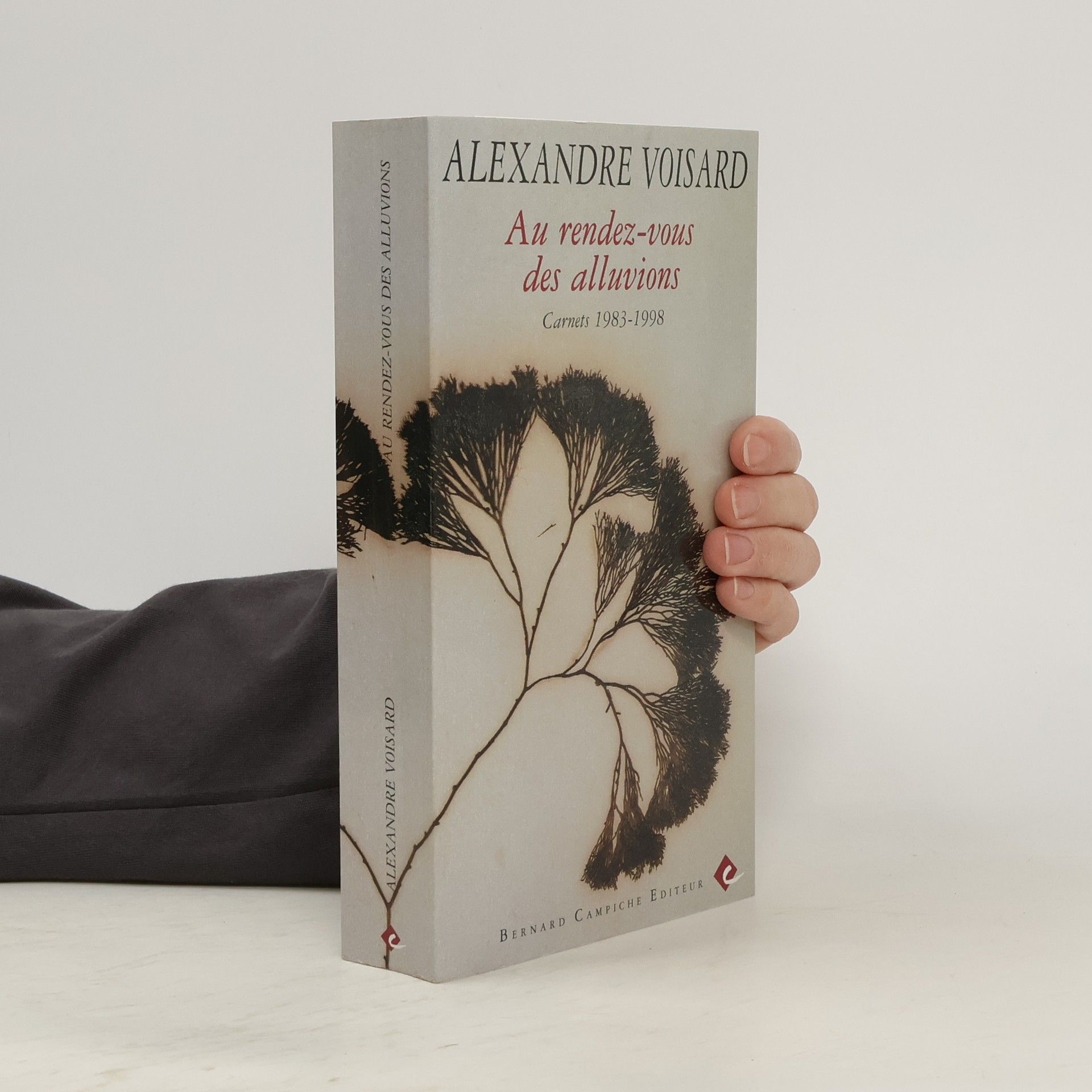 Au rendez-vous des alluvions