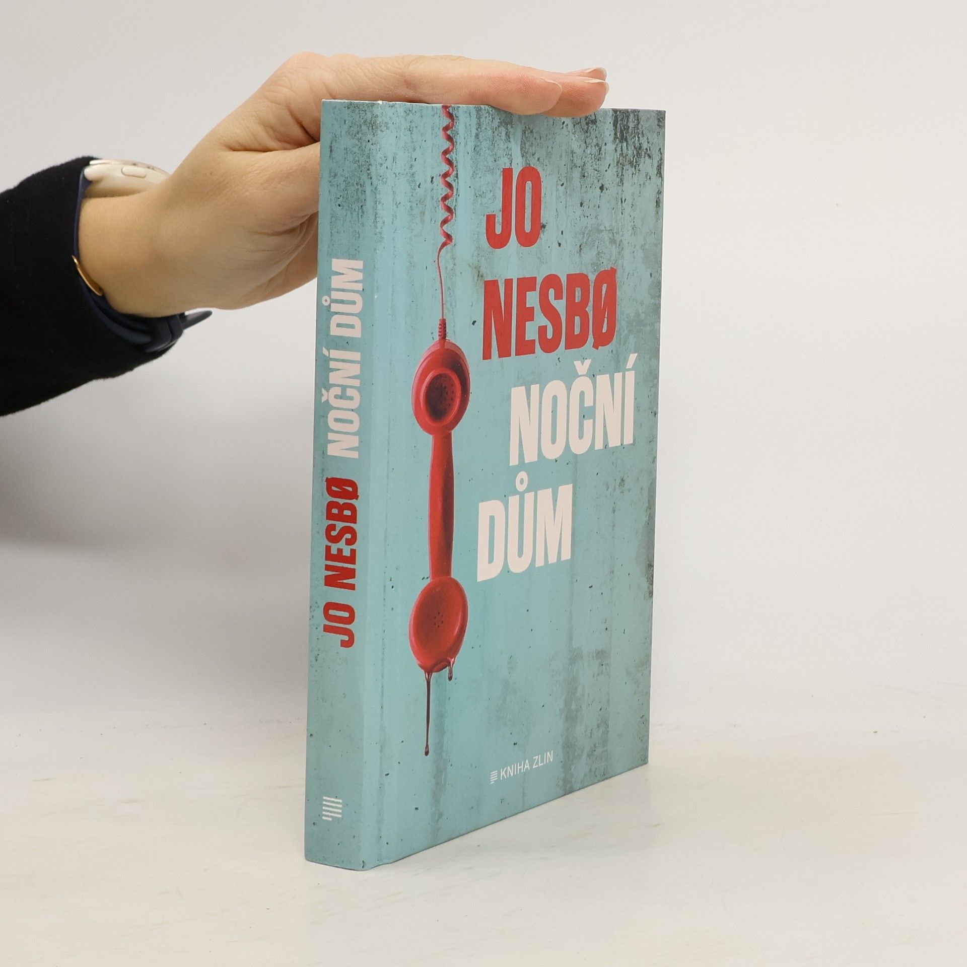 Jo Nesbø Noční dům