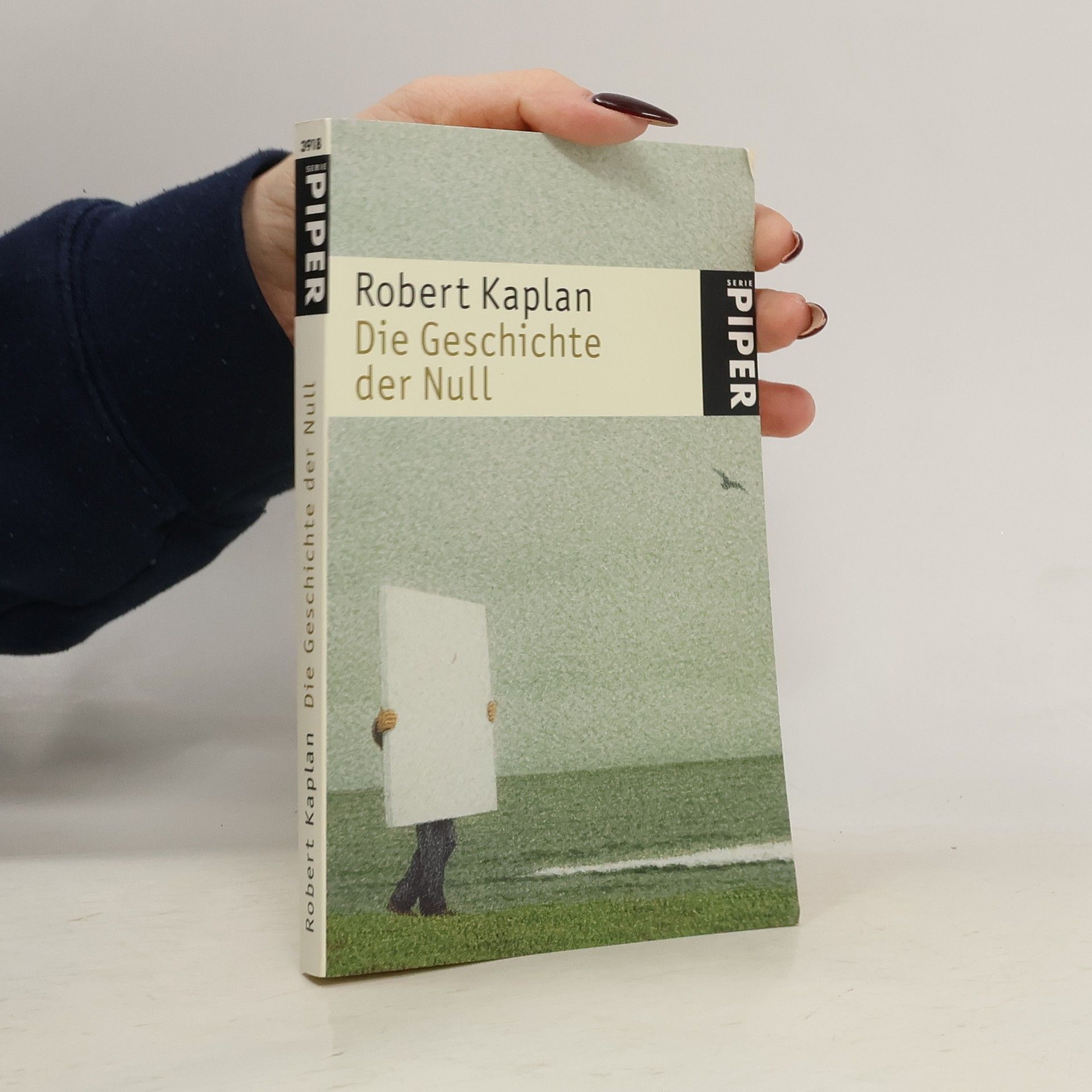 Robert Kaplan Die Geschichte der Null