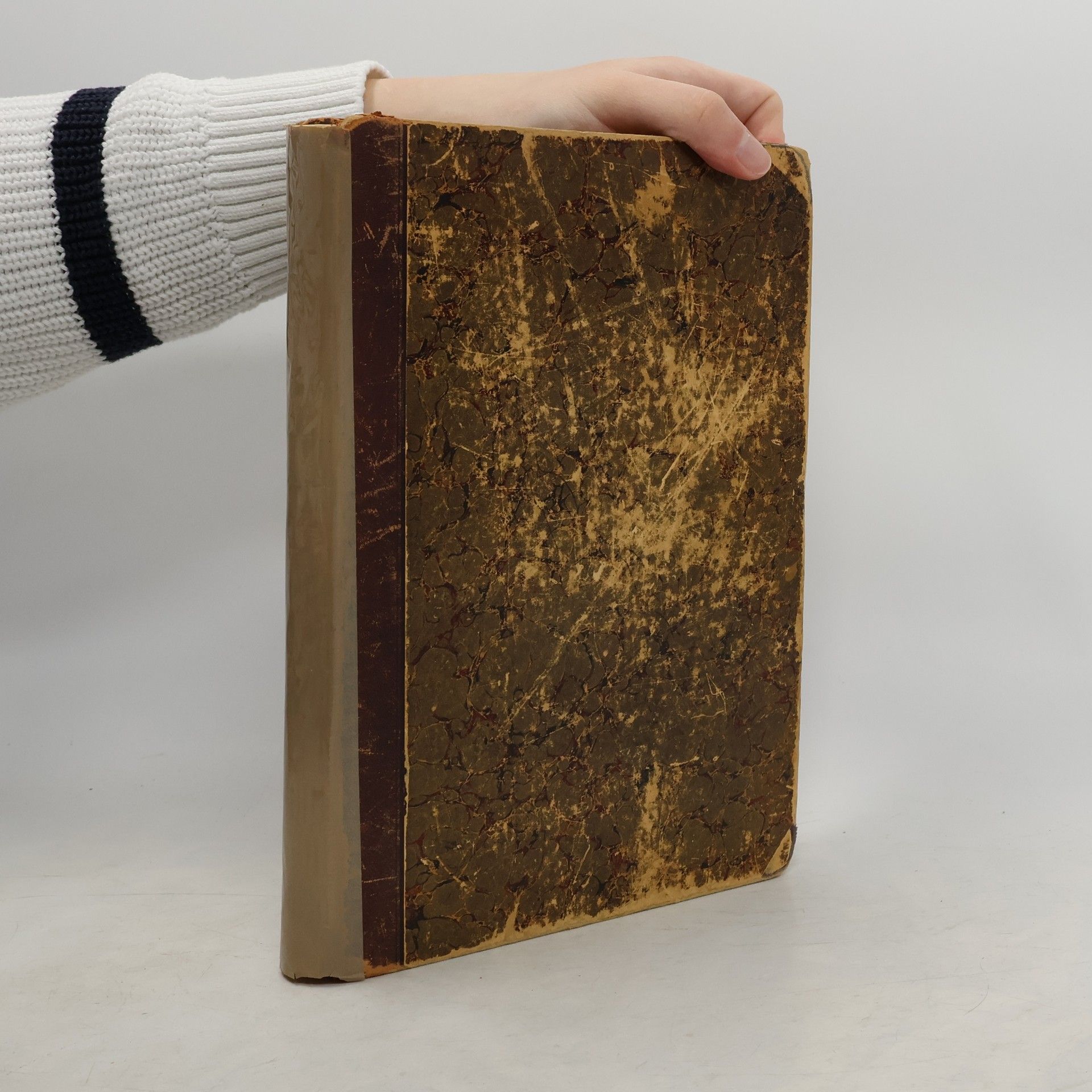  Dictionnaire Français-Allemand et Allemand-Français / Wörterbuch der Französischen und Deutschen Sprache