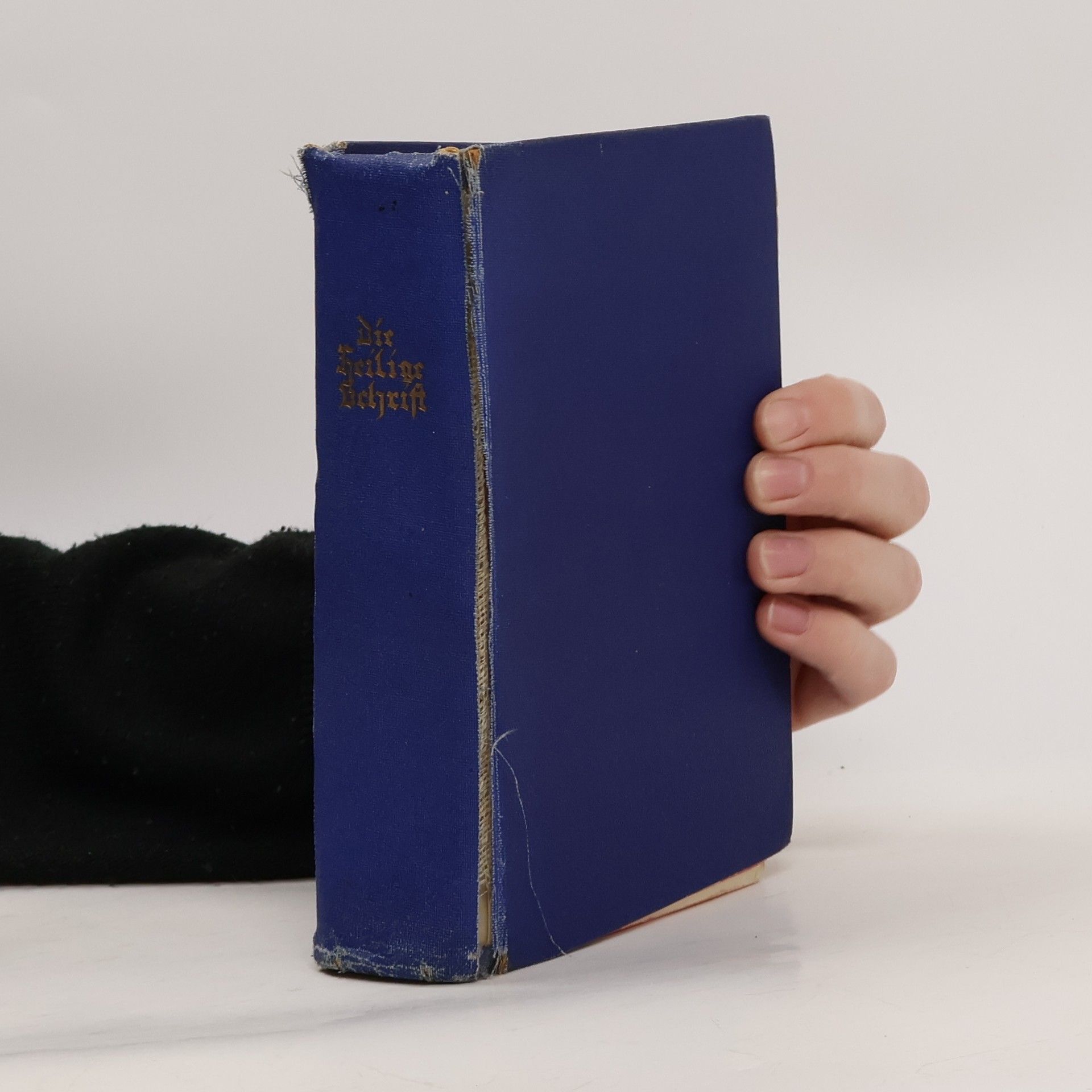 Autorenkollektiv Die Heilige Schrift