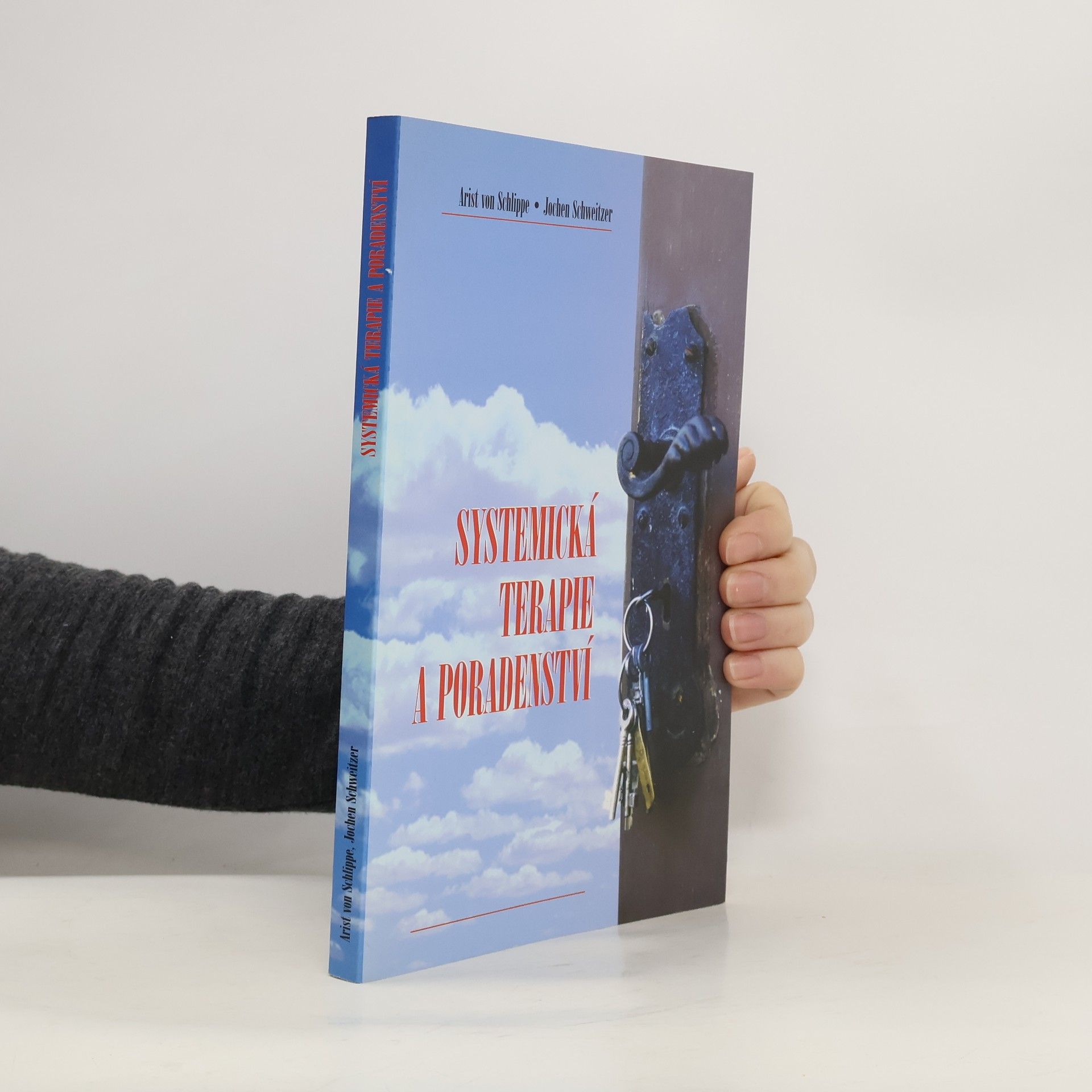 Systemická terapie a poradenství