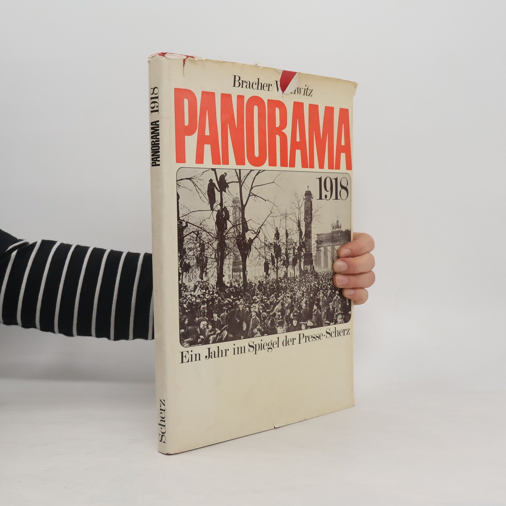 Autorenkollektiv Panorama 1918