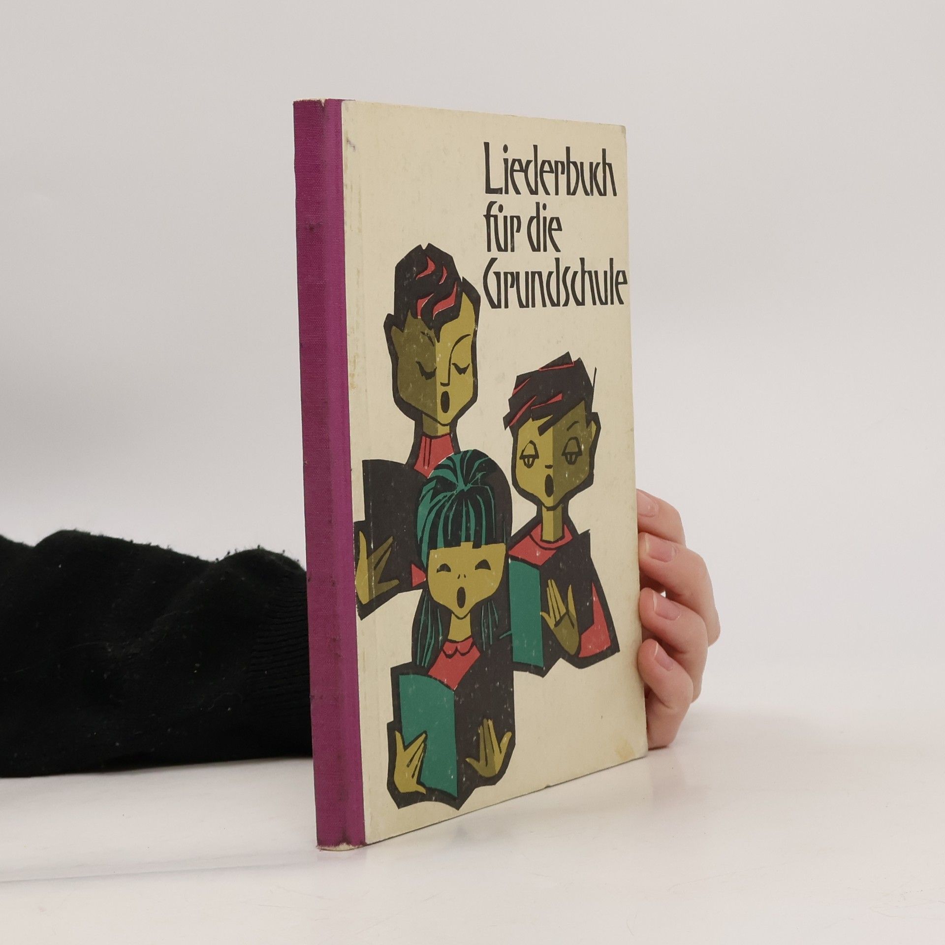 Kolektív autorov Liederbuch für die Grundschule