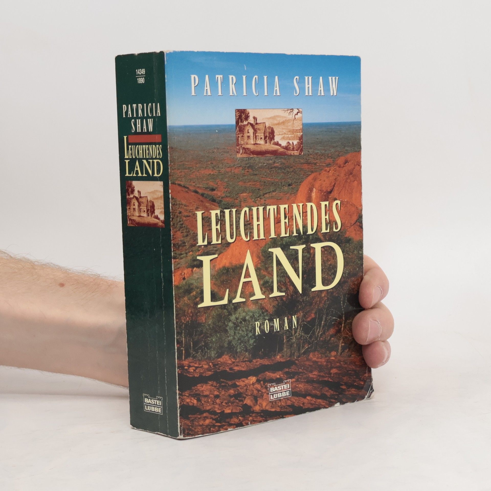 Patricia Shaw Leuchtendes Land