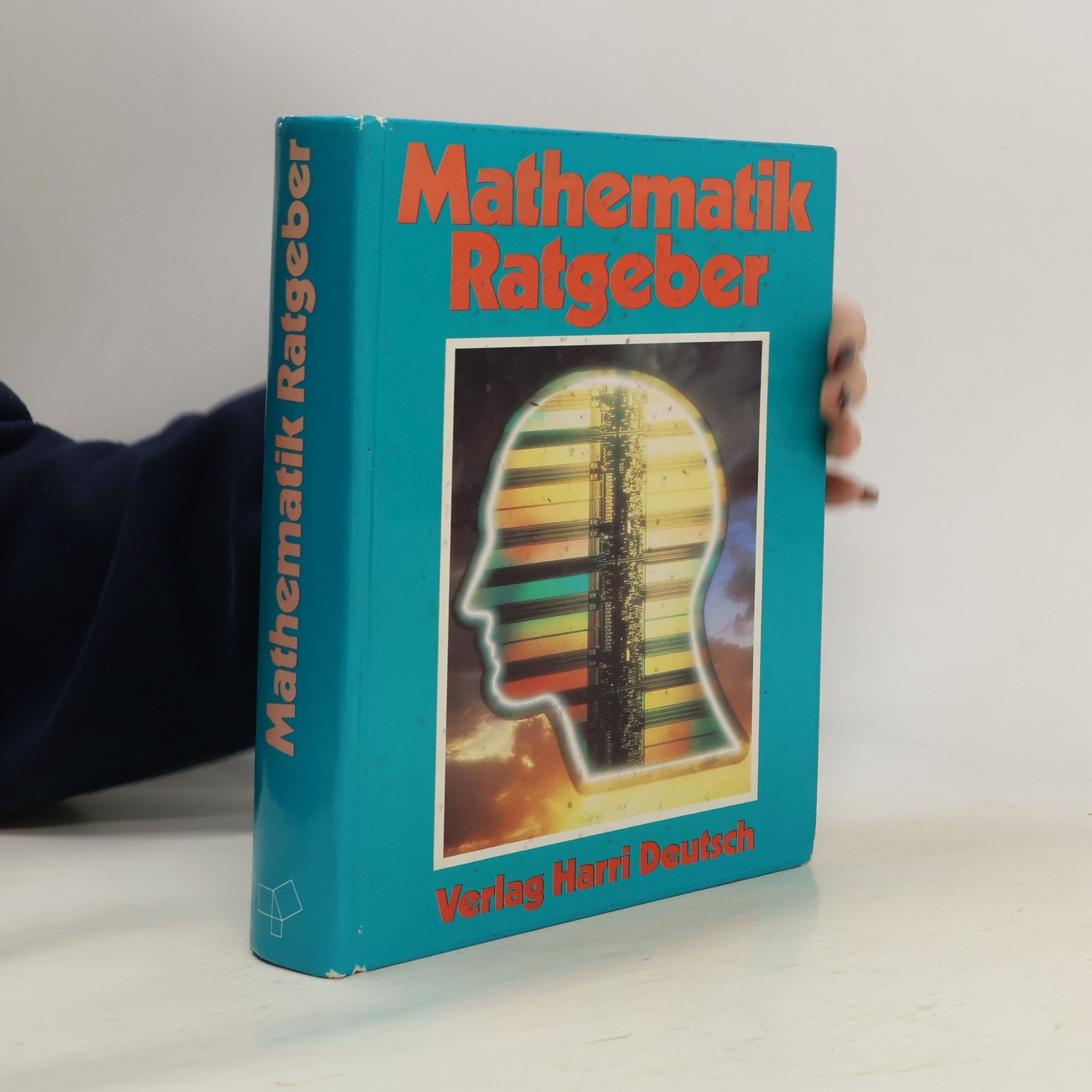 Autores varios Mathematik-Ratgeber