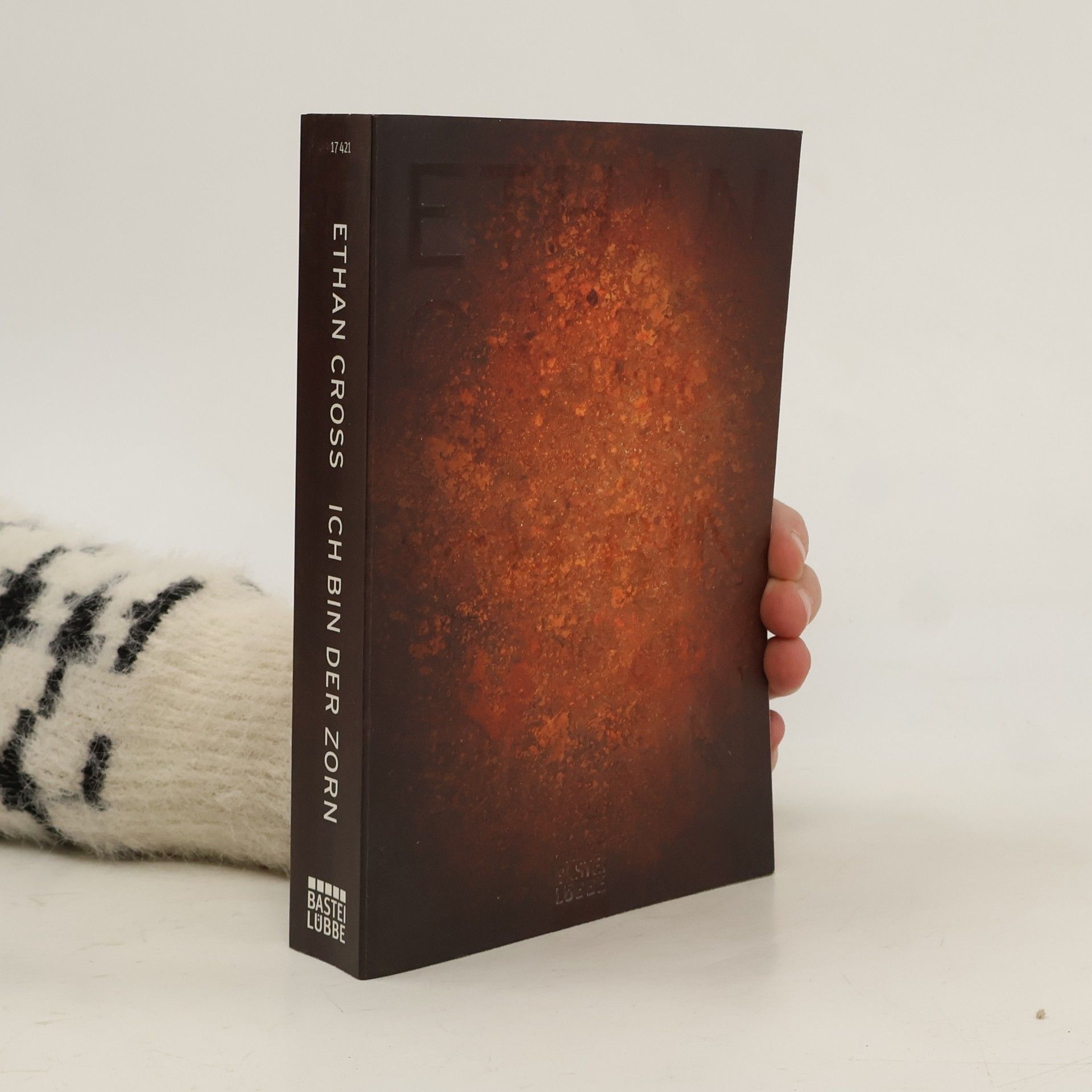 Ethan Cross Ich bin der Zorn