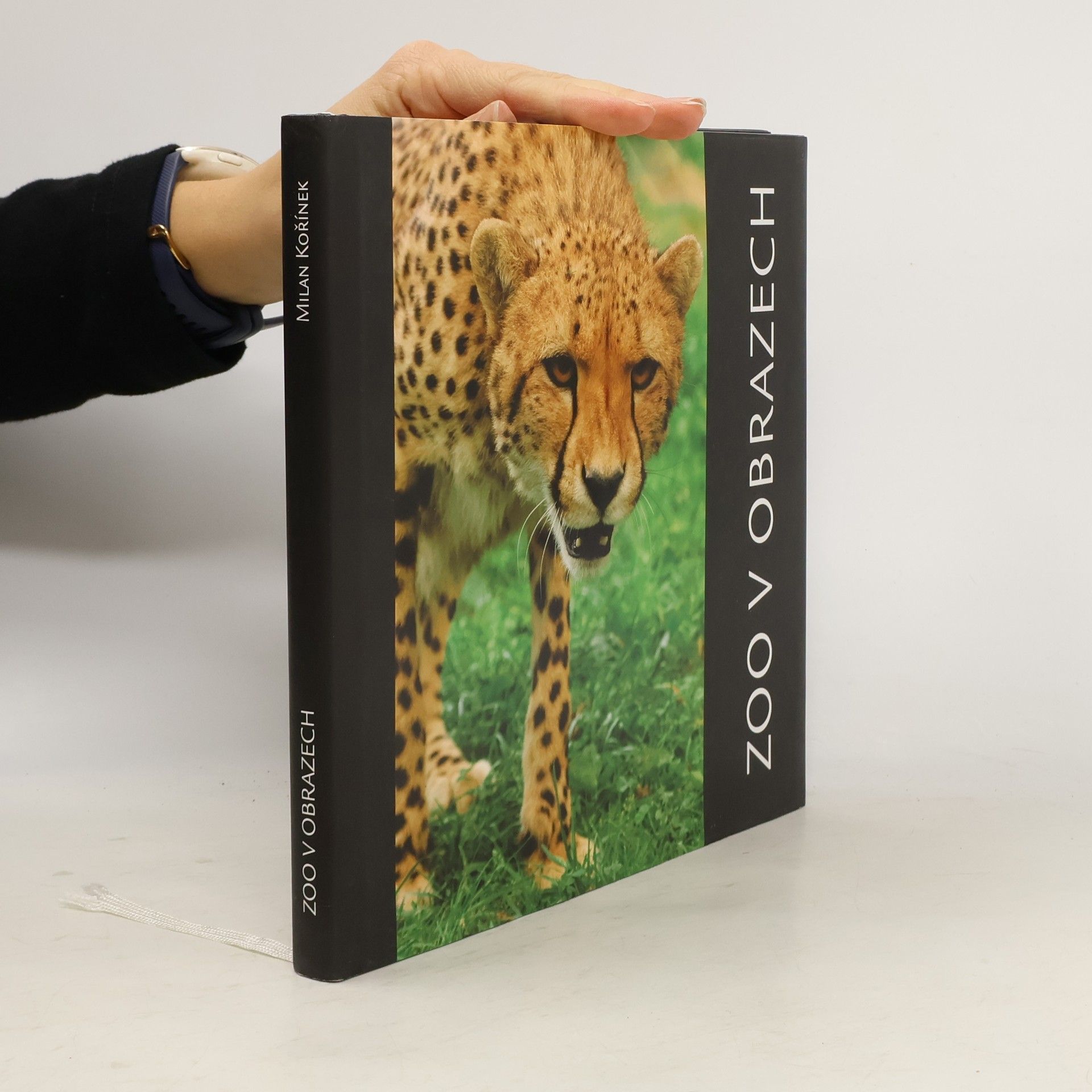 Milan Kořínek ZOO v obrazech