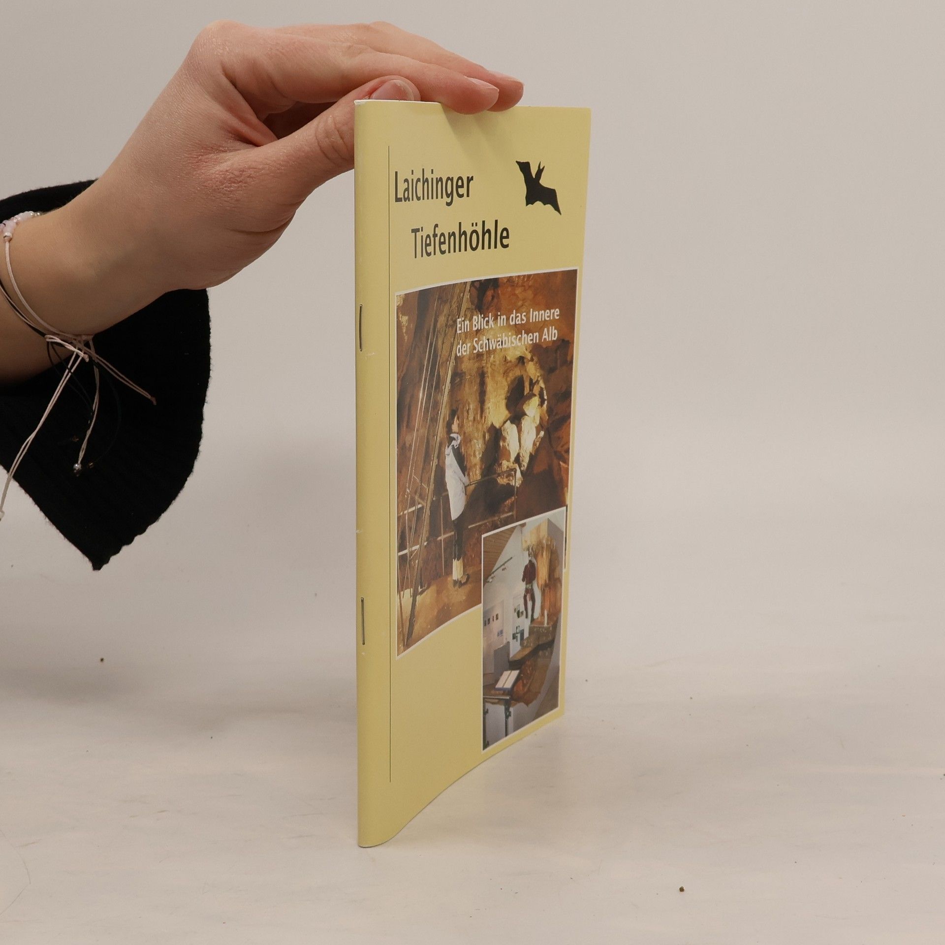 Collectif d'auteurs Laichinger Tiefenhöhle