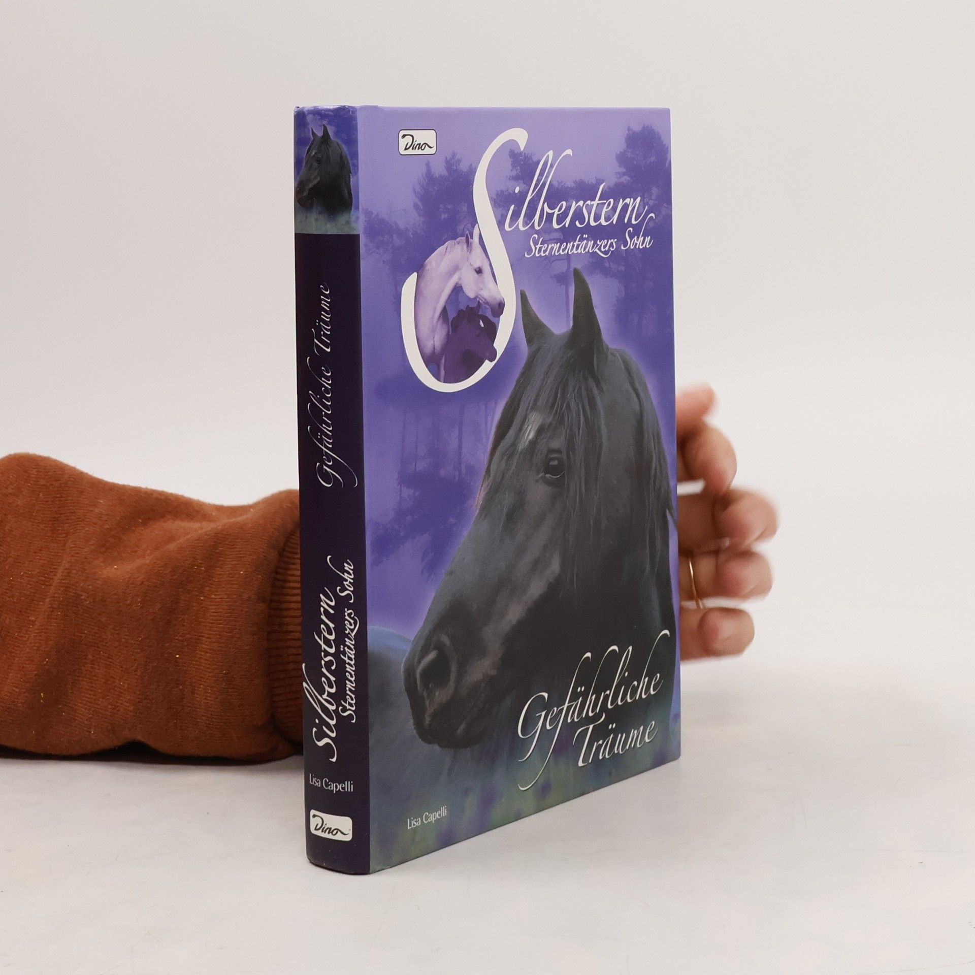 Lisa Capelli Silberstern, Sternentänzers Sohn. Gefährliche Träume