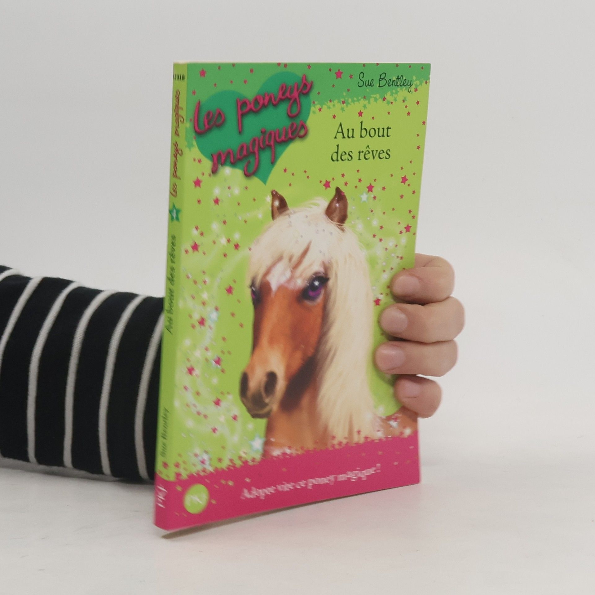 Sue Bentley Les poneys magiques - 4: Au bout des rêves