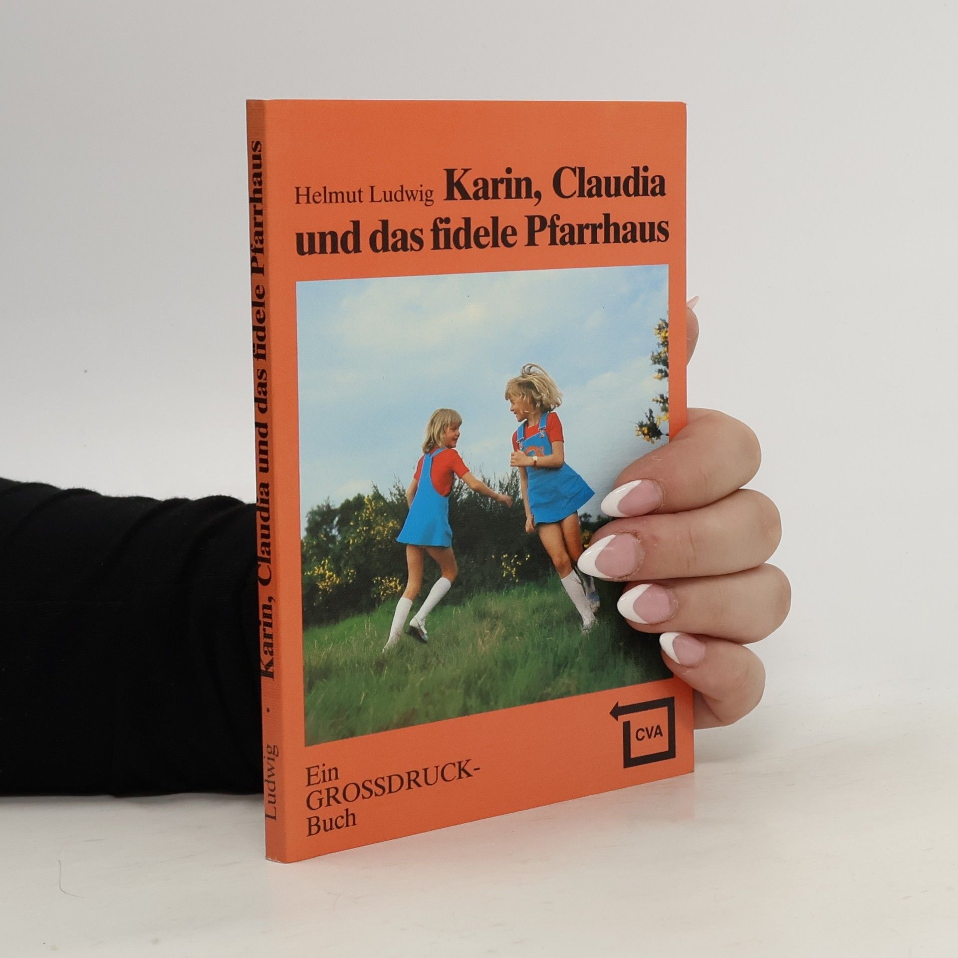 Karin, Claudia und das fidele Pfarrhaus - Ein Großdruck-Buch