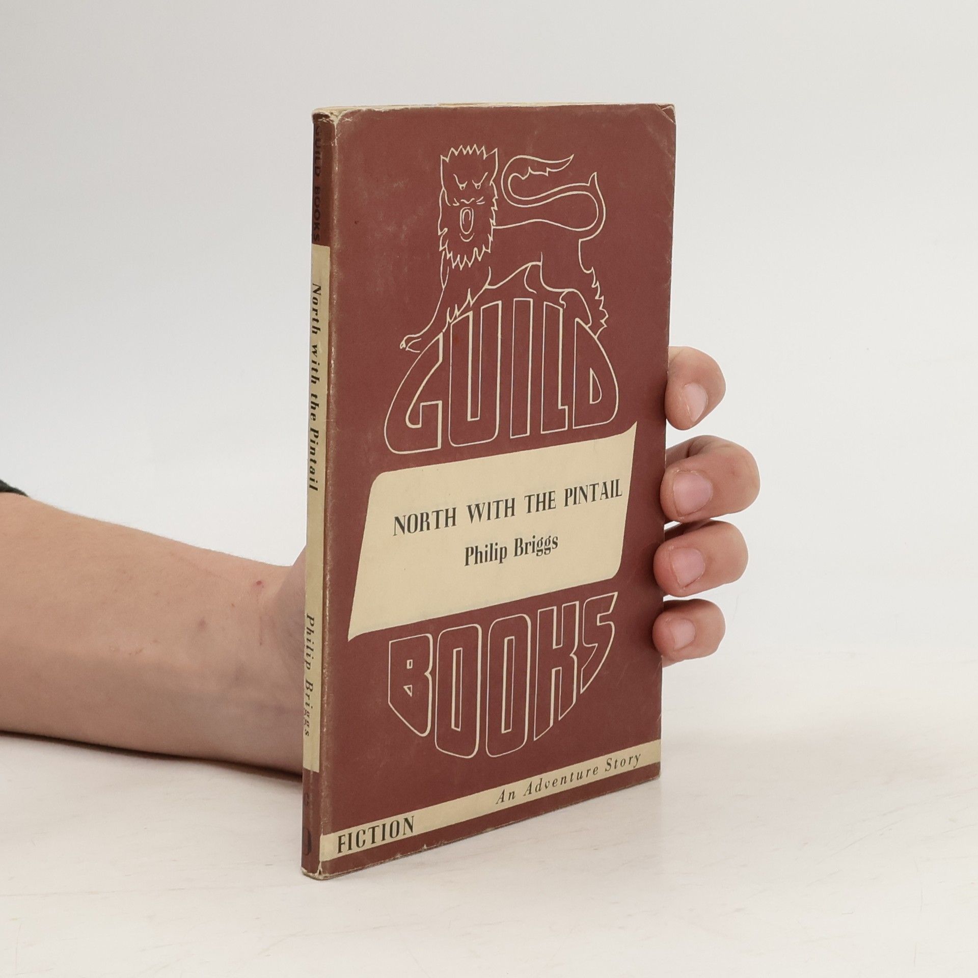 Philip Briggs North with the Pintail