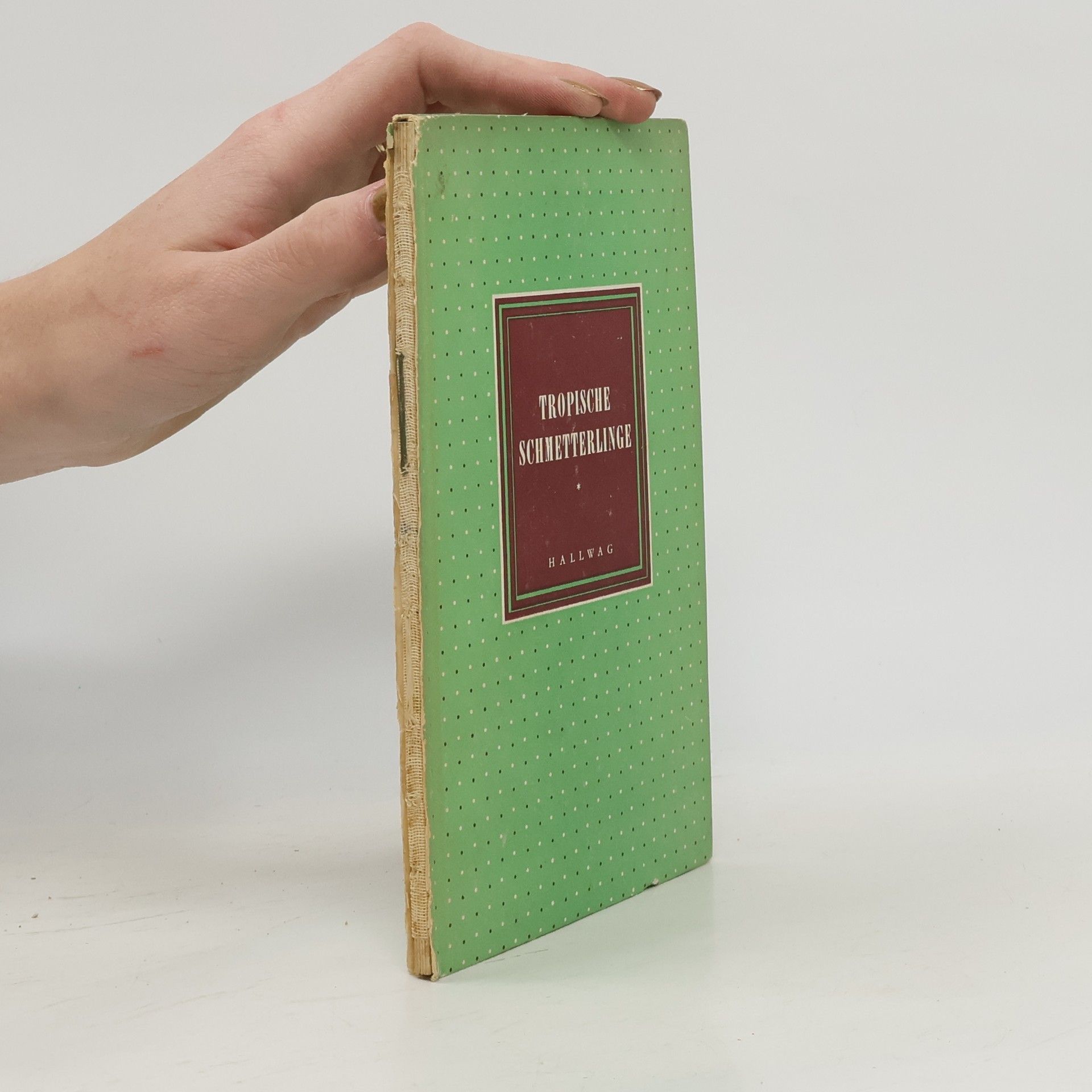 AA.VV. Tropische schmetterlinge