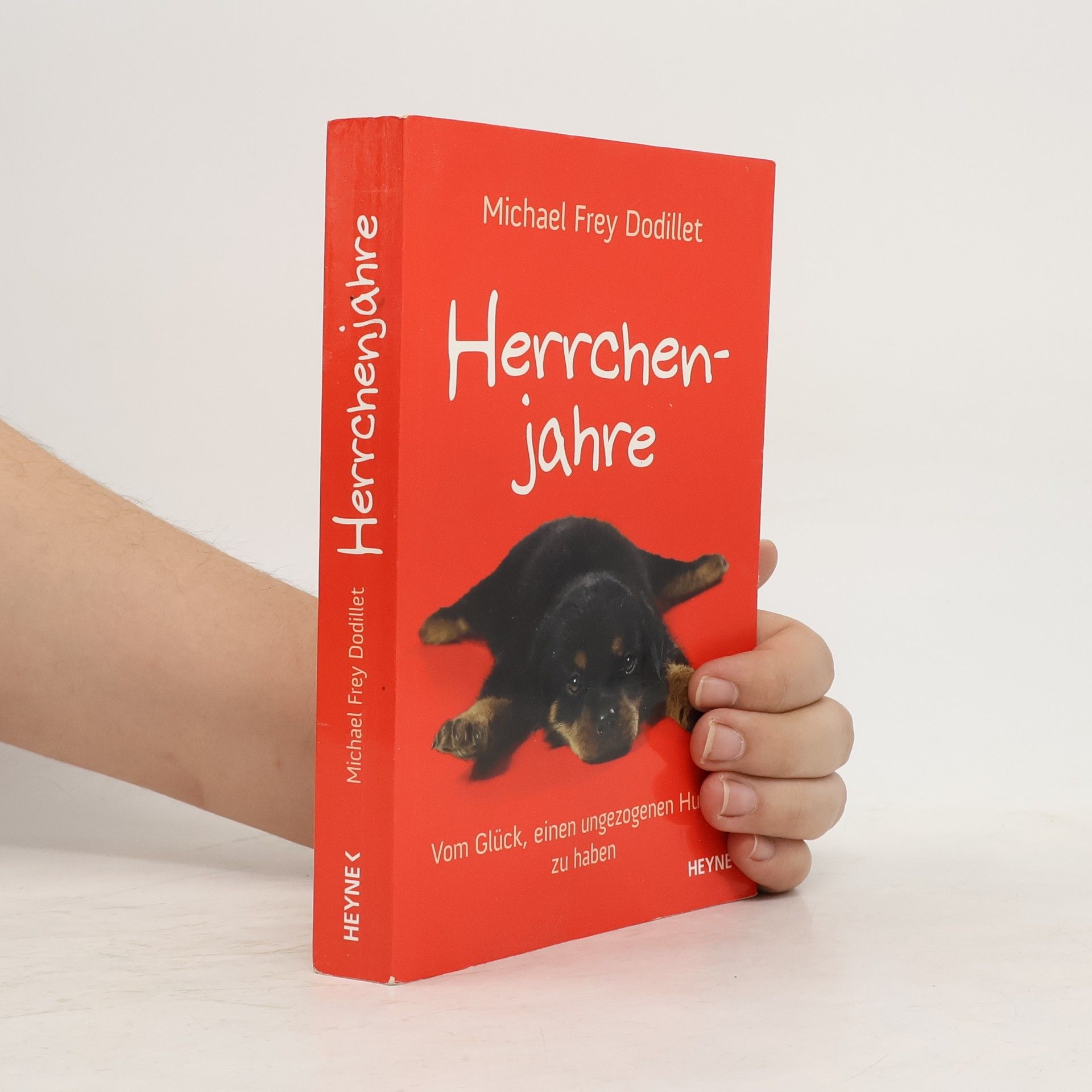 Michael Frey Dodillet Herrchenjahre