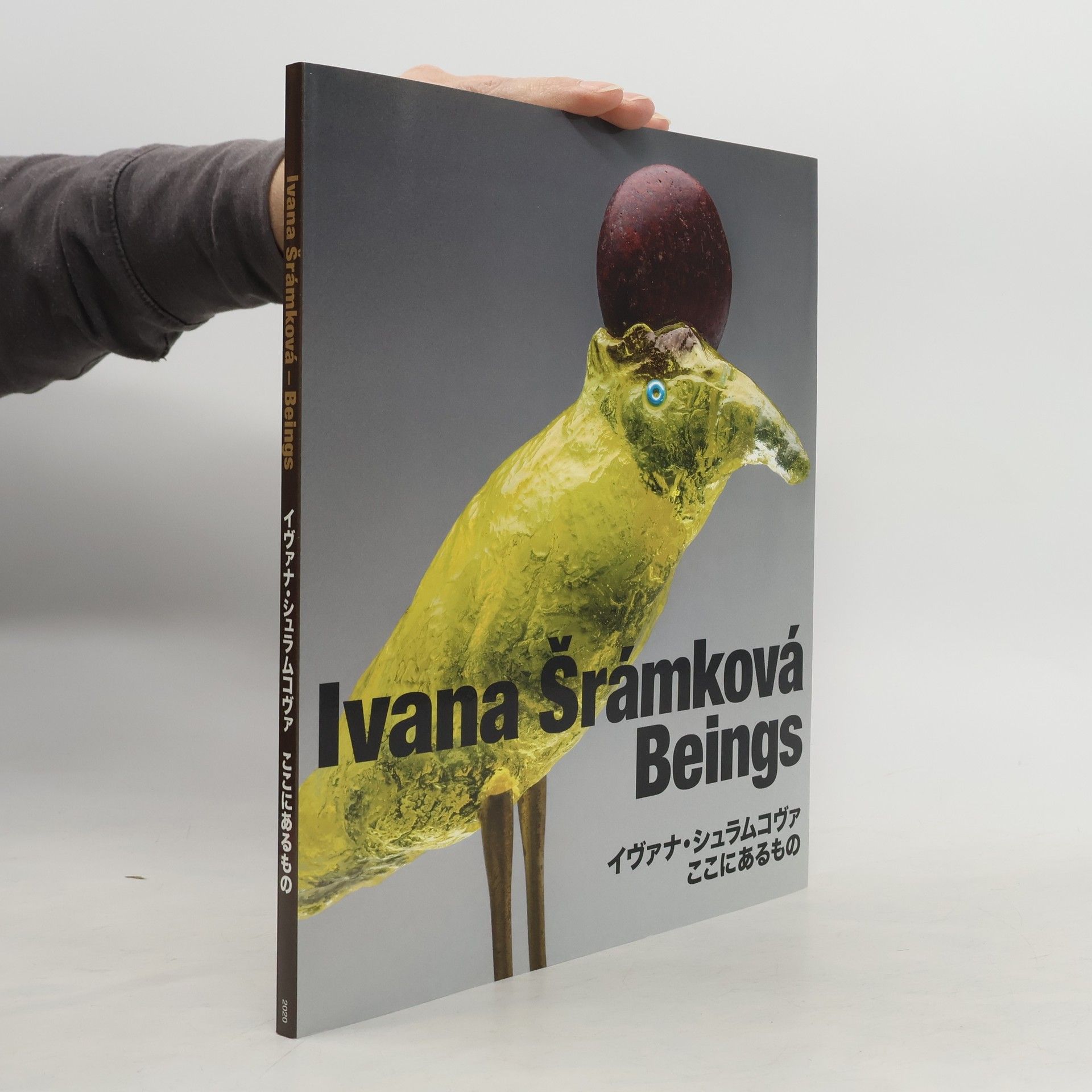 Kolektív autorov Ivana Šramkova