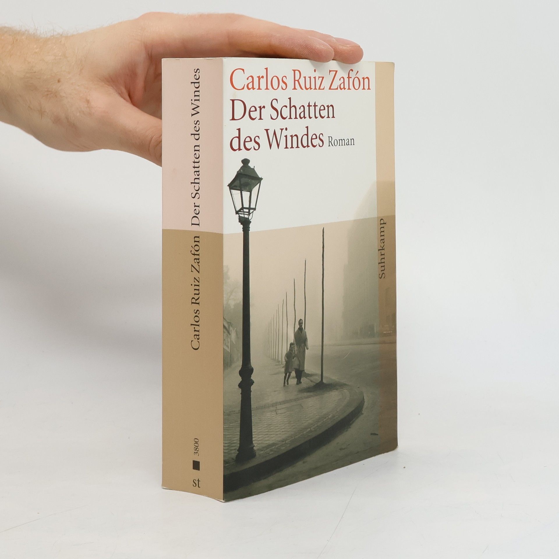 Carlos Ruiz Zafón Der Schatten des Windes