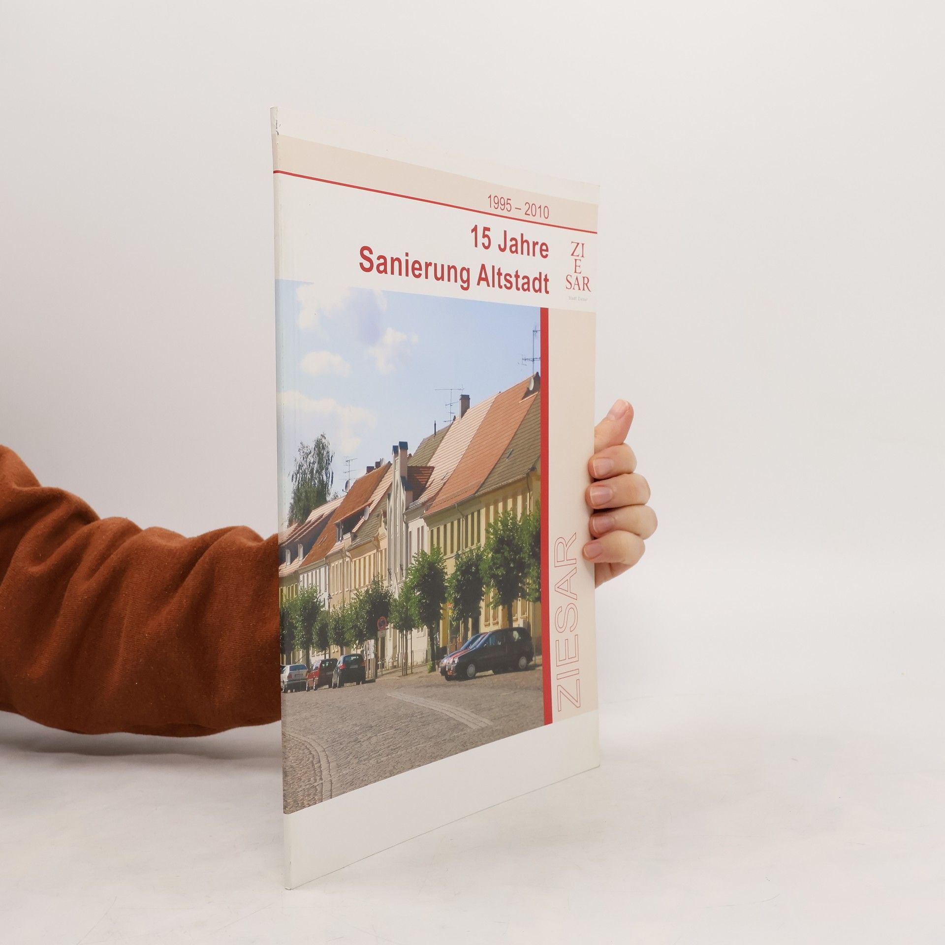 Auteurscollectief 15 Jahre Sanierung Altstadt