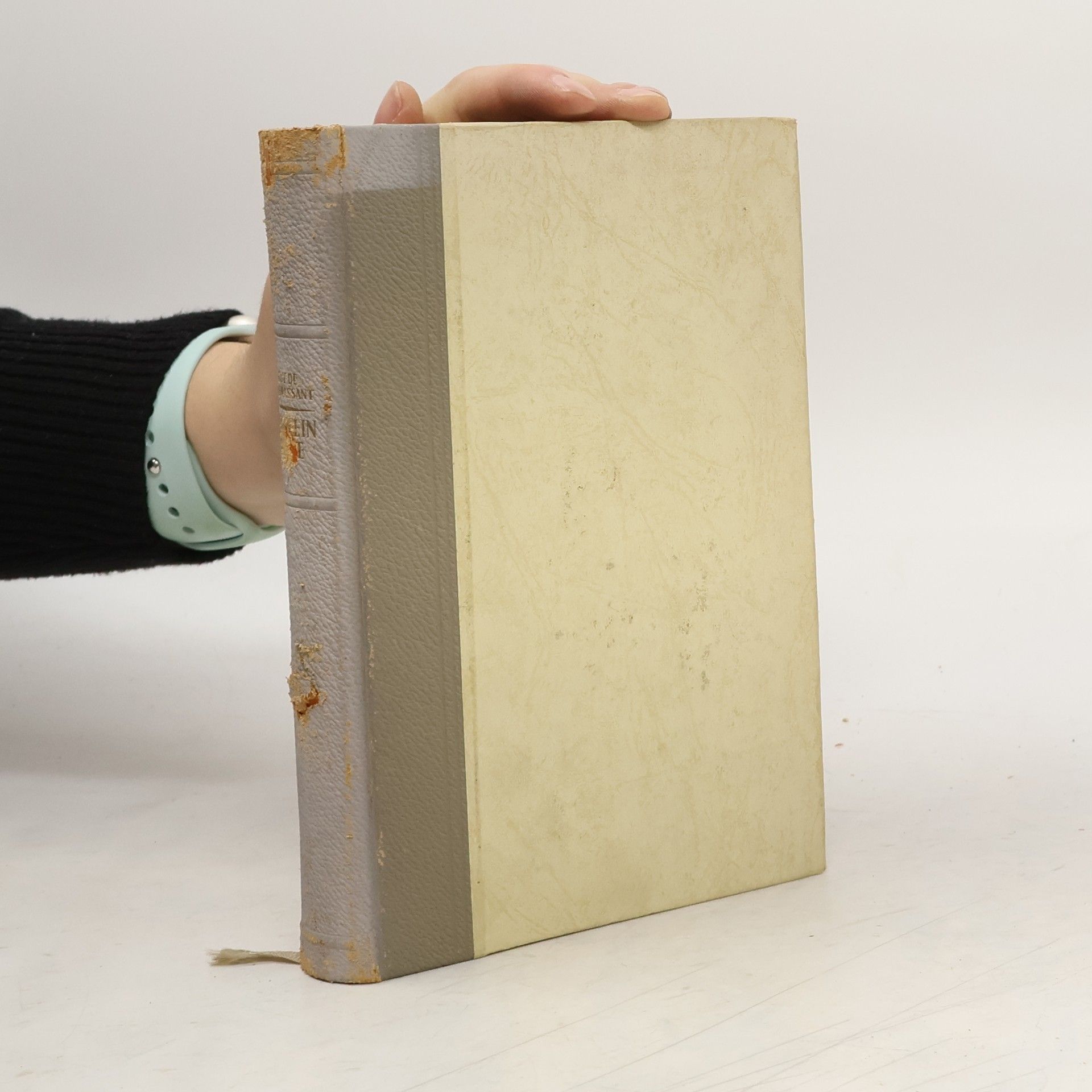 Guy de Maupassant Fraulein Perle