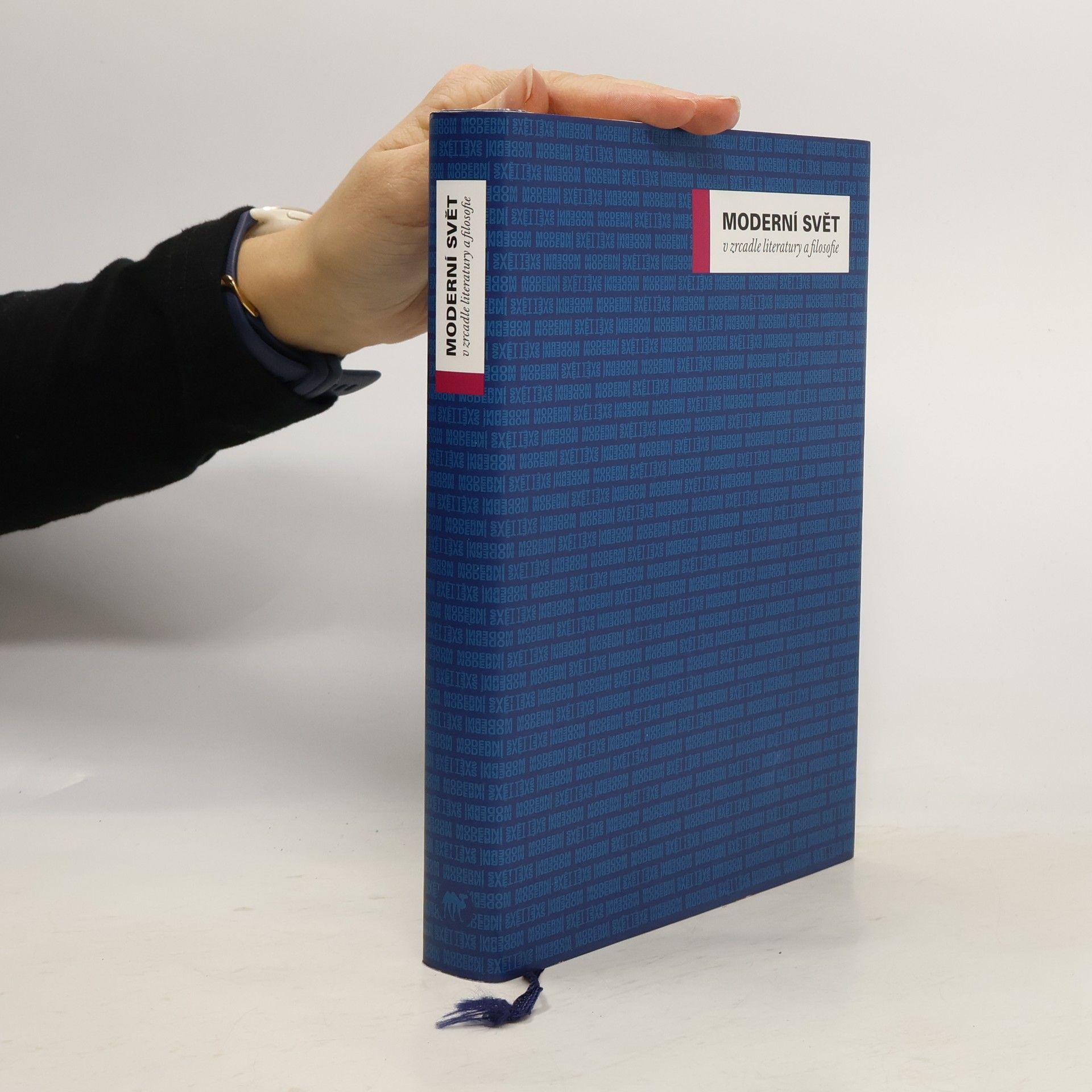 Miroslav Petříček Moderní svět v zrcadle literatury a filosofie