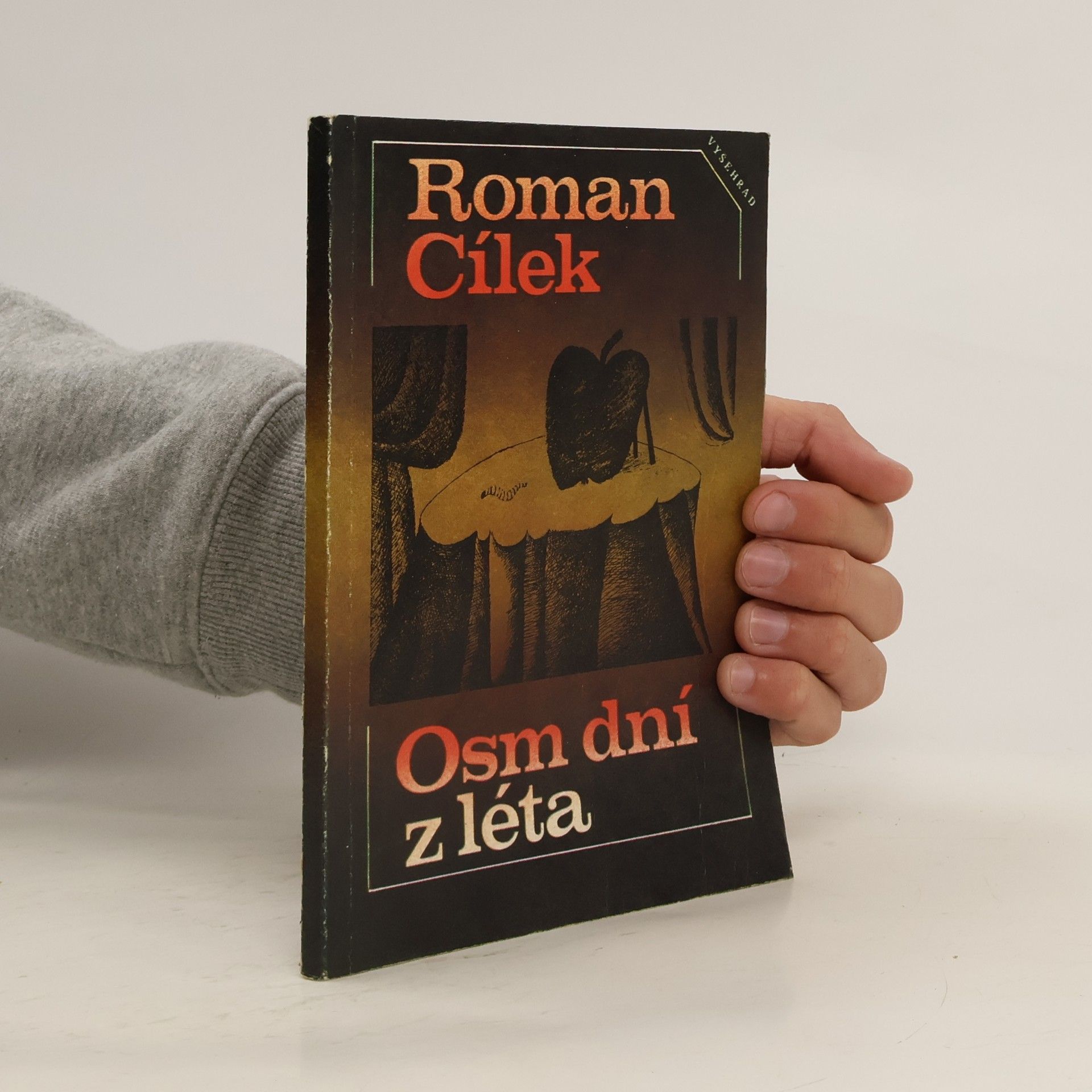 Roman Cílek Osm dní z léta