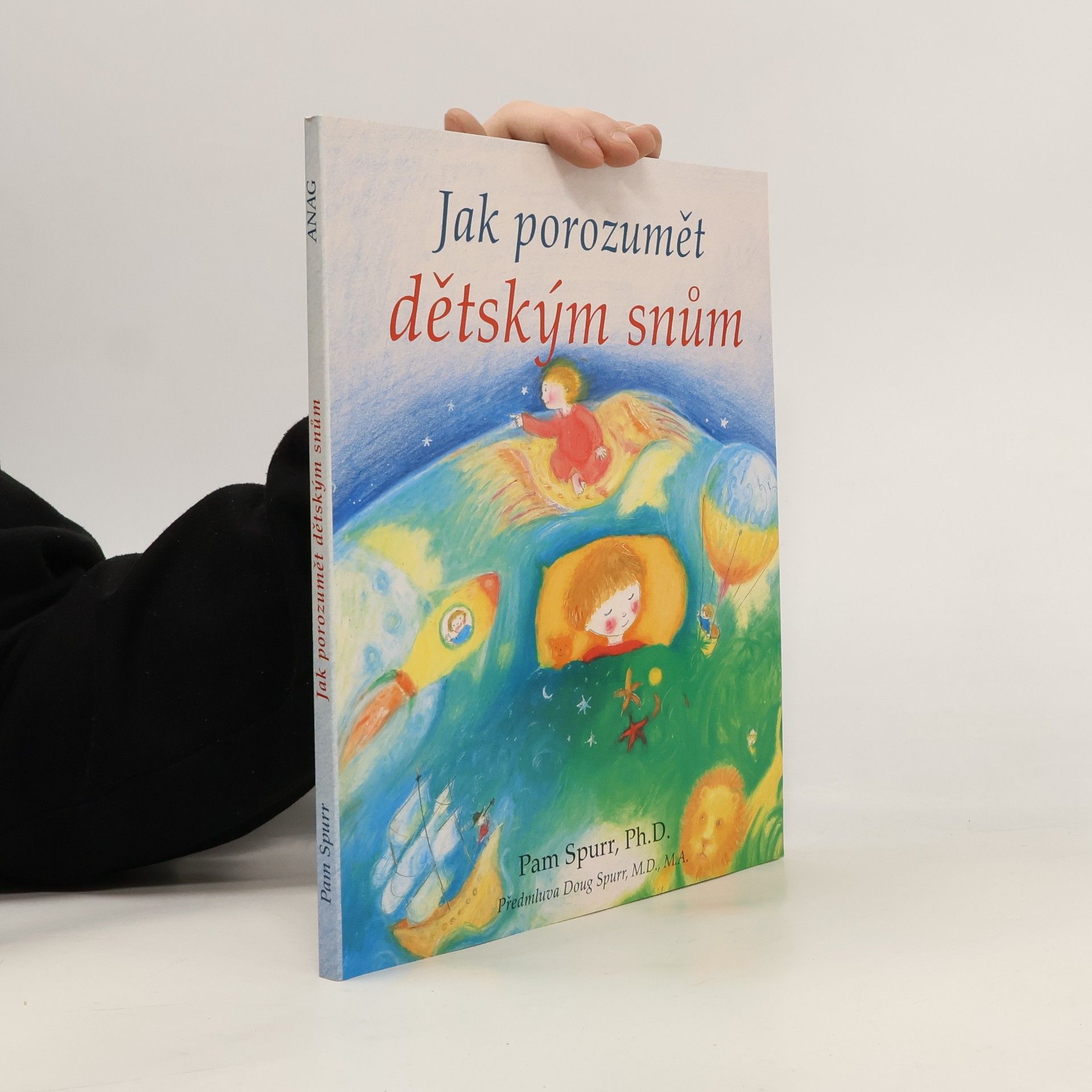 Pam Spurr Jak porozumět dětským snům