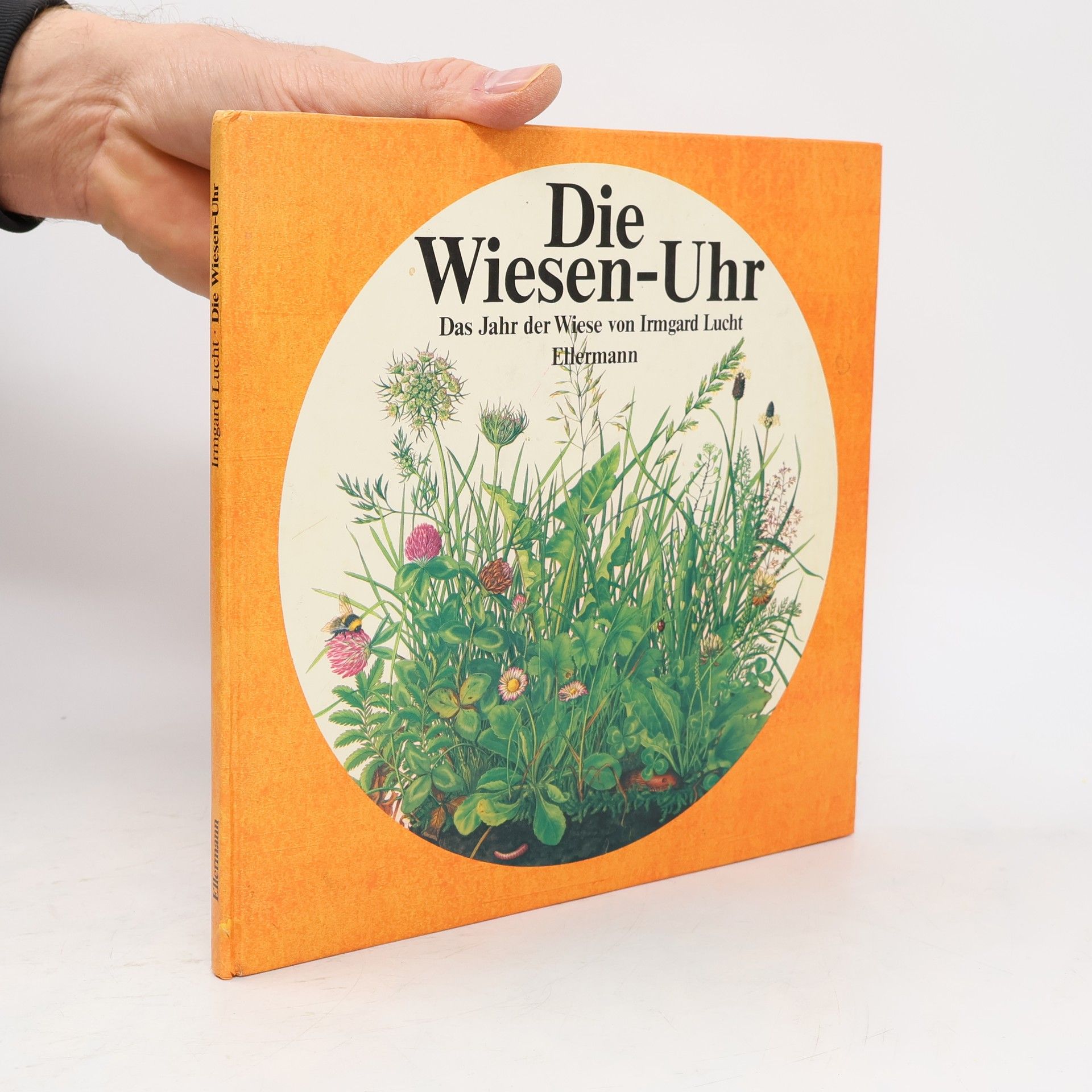 Irmgard Lucht Die Wiesen-Uhr