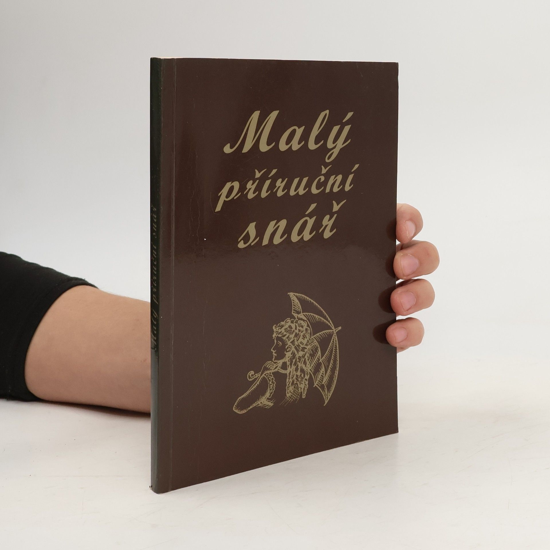 Autorenkollektiv Malý příruční snář