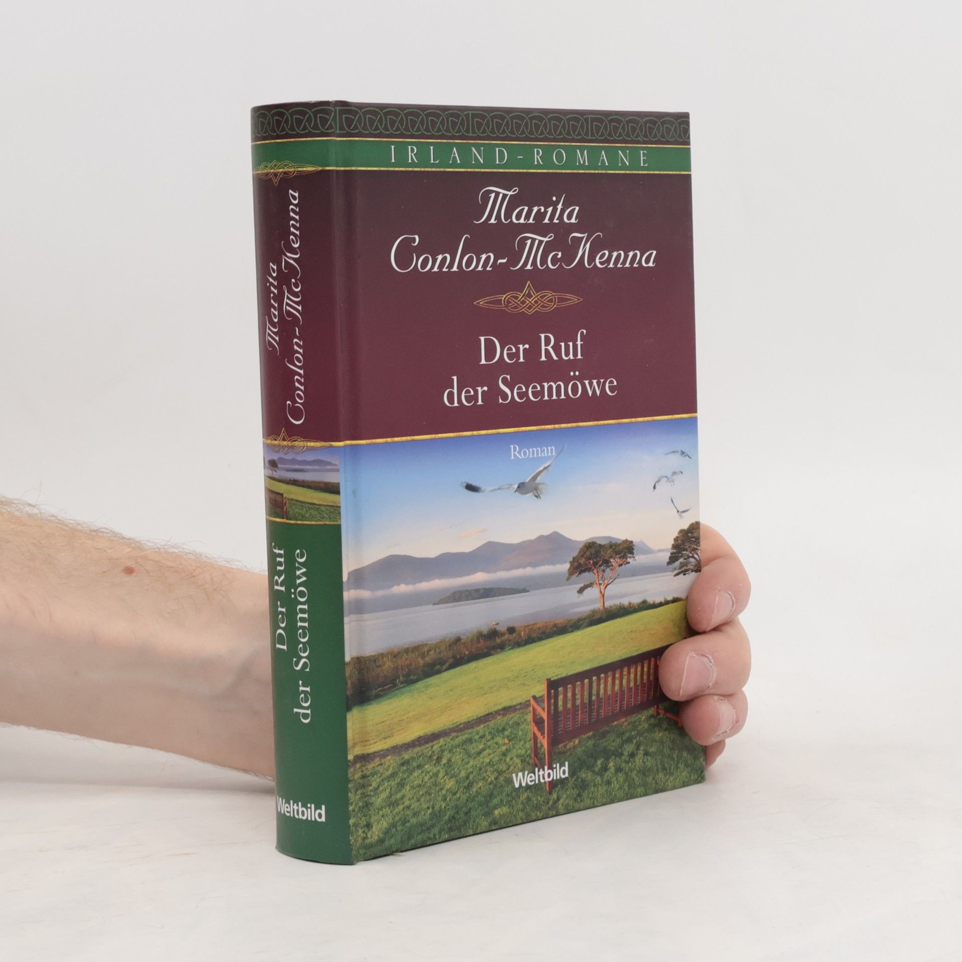 Der Ruf der Seemöwe